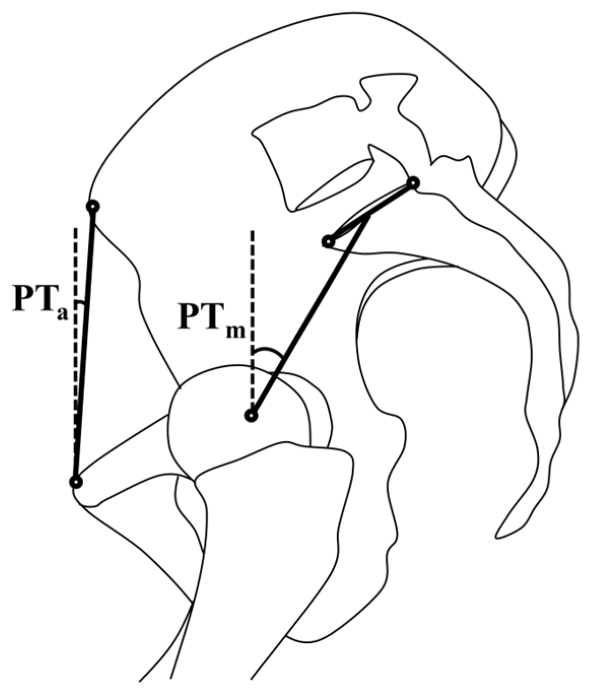 Jcm 13 01394 g001 Jcm 13 01394 g001