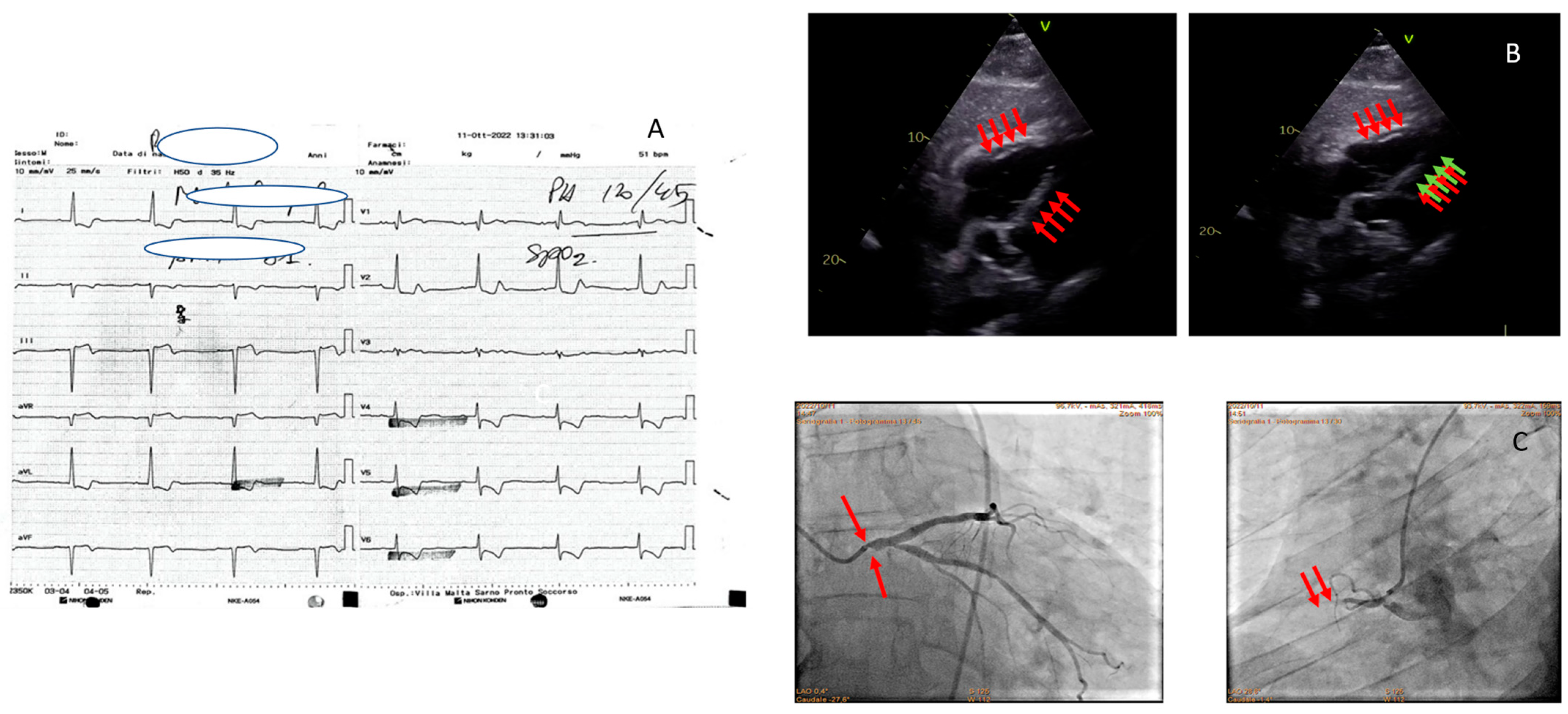 Jcm 13 01425 g001