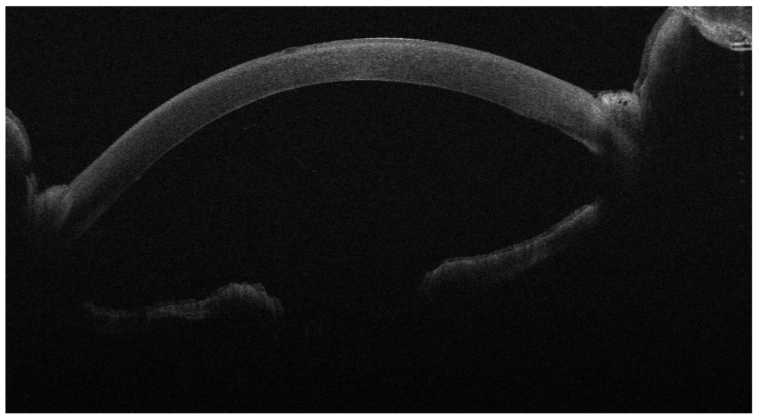 Jcm 13 01593 g002 Jcm 13 01593 g002