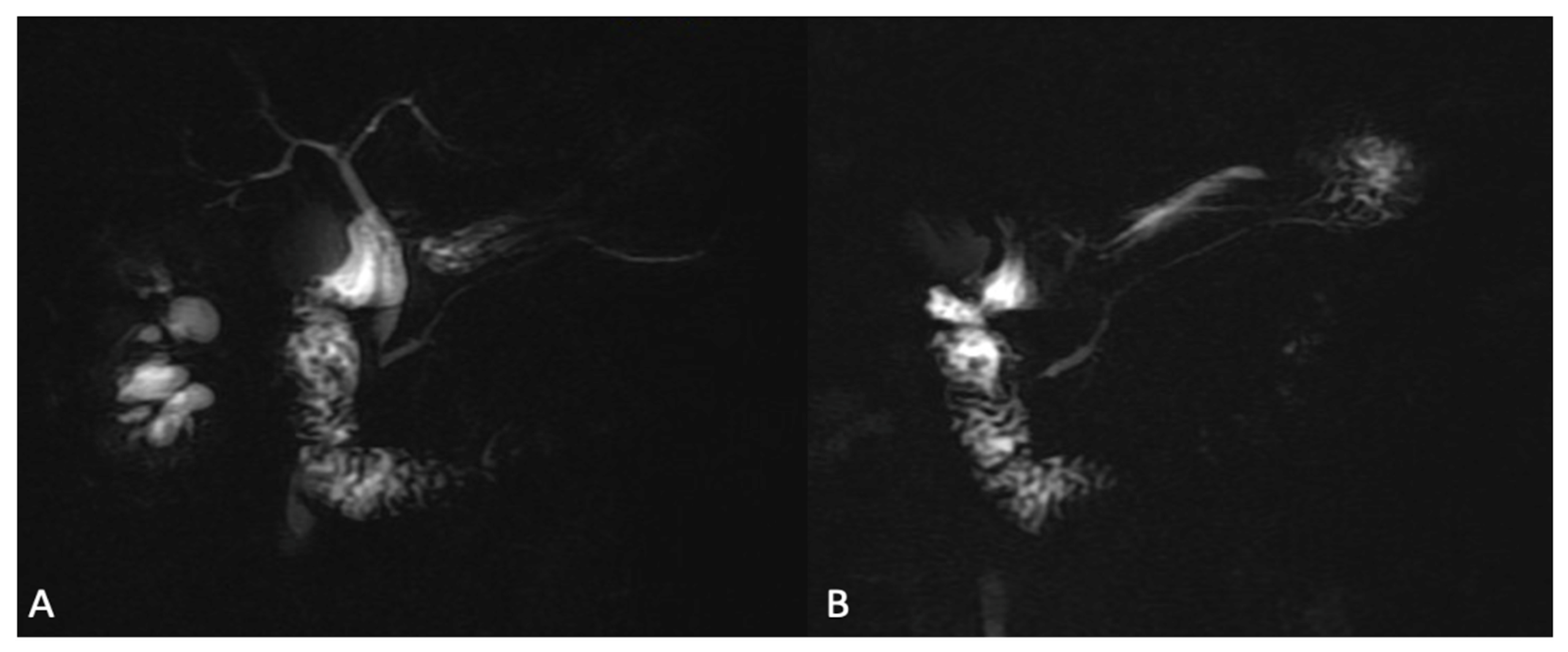 Jcm 13 02193 g007 Jcm 13 02193 g007