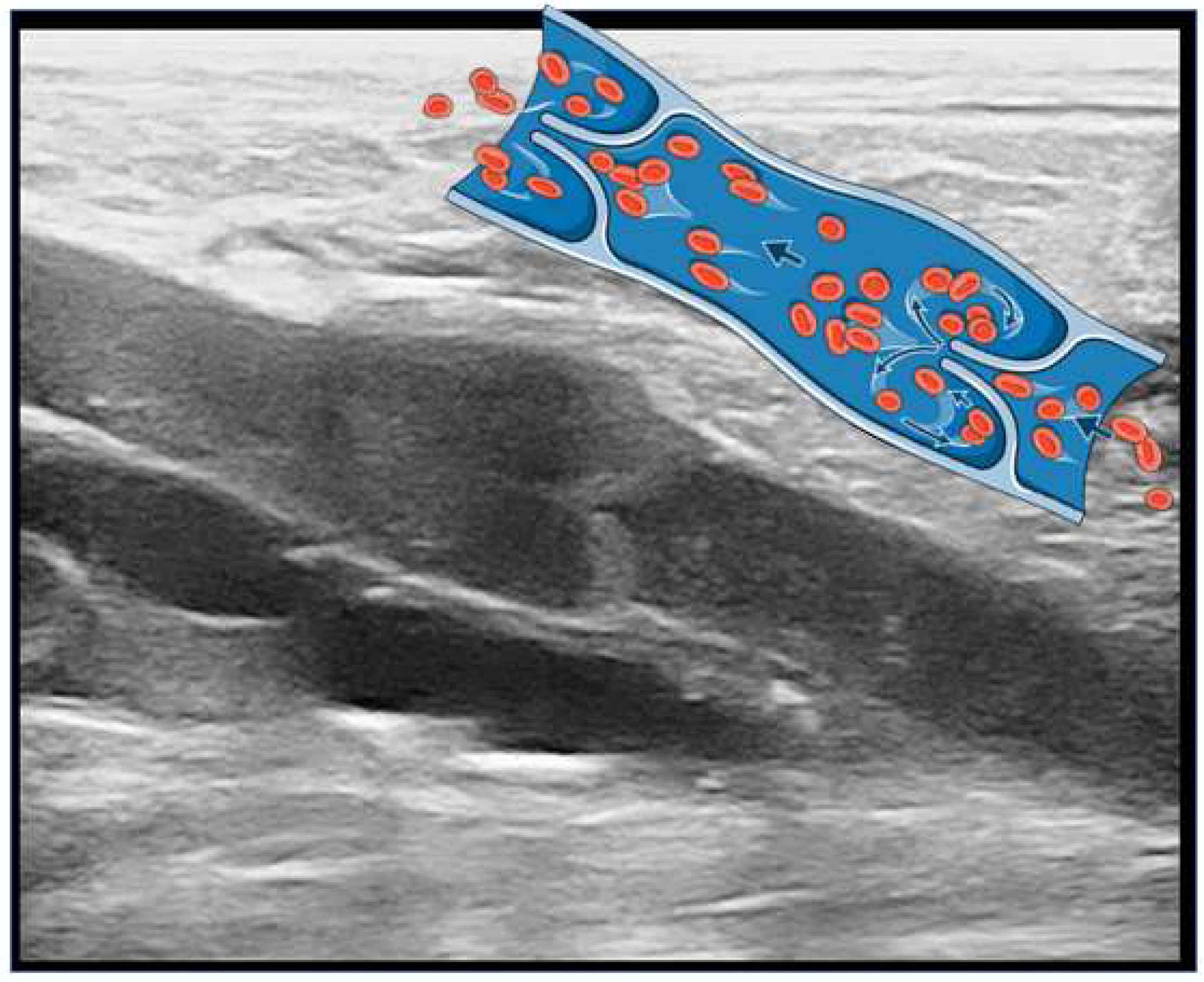 Jcm 13 02539 g003 Jcm 13 02539 g003