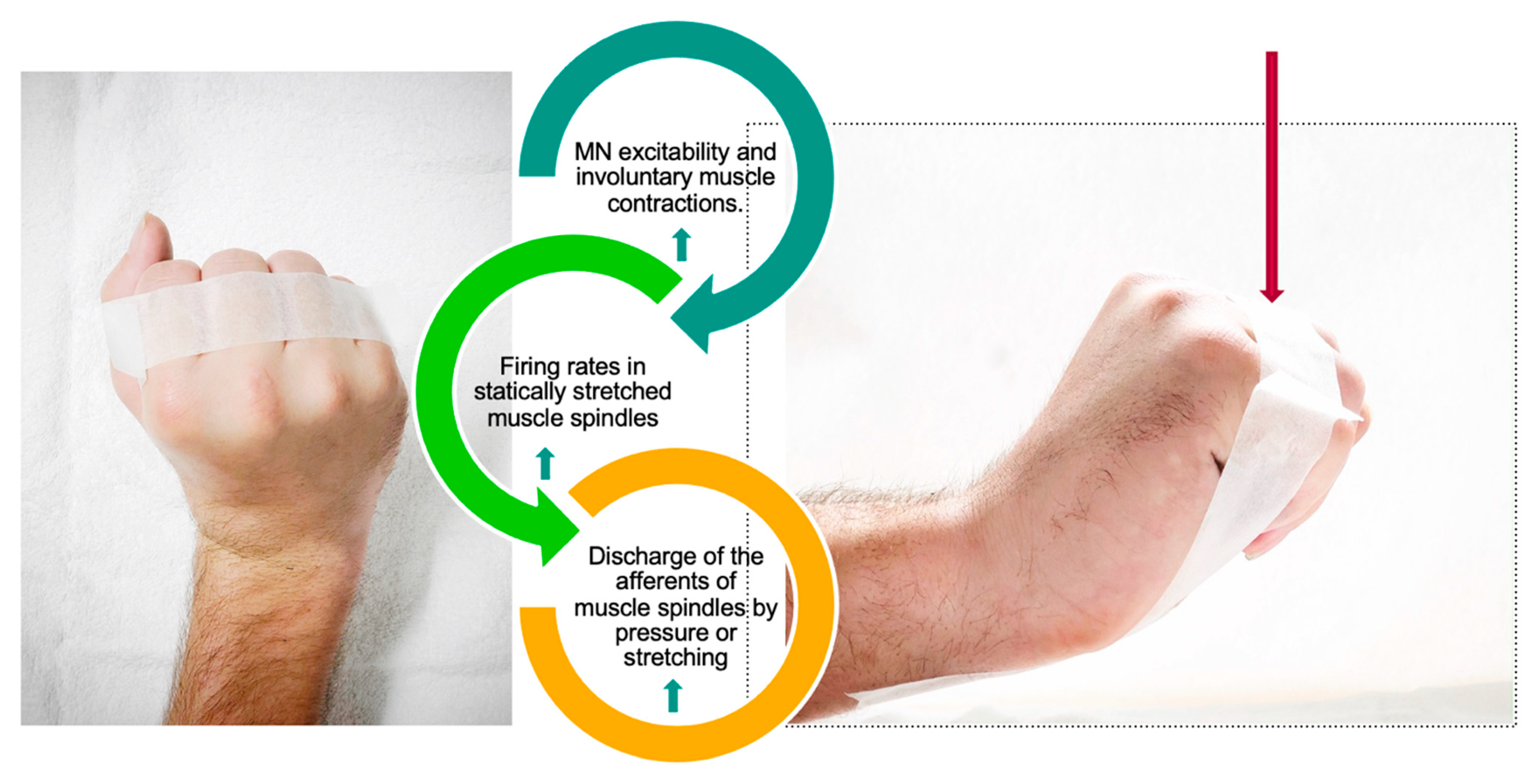 Jcm 13 02995 g003 Jcm 13 02995 g003