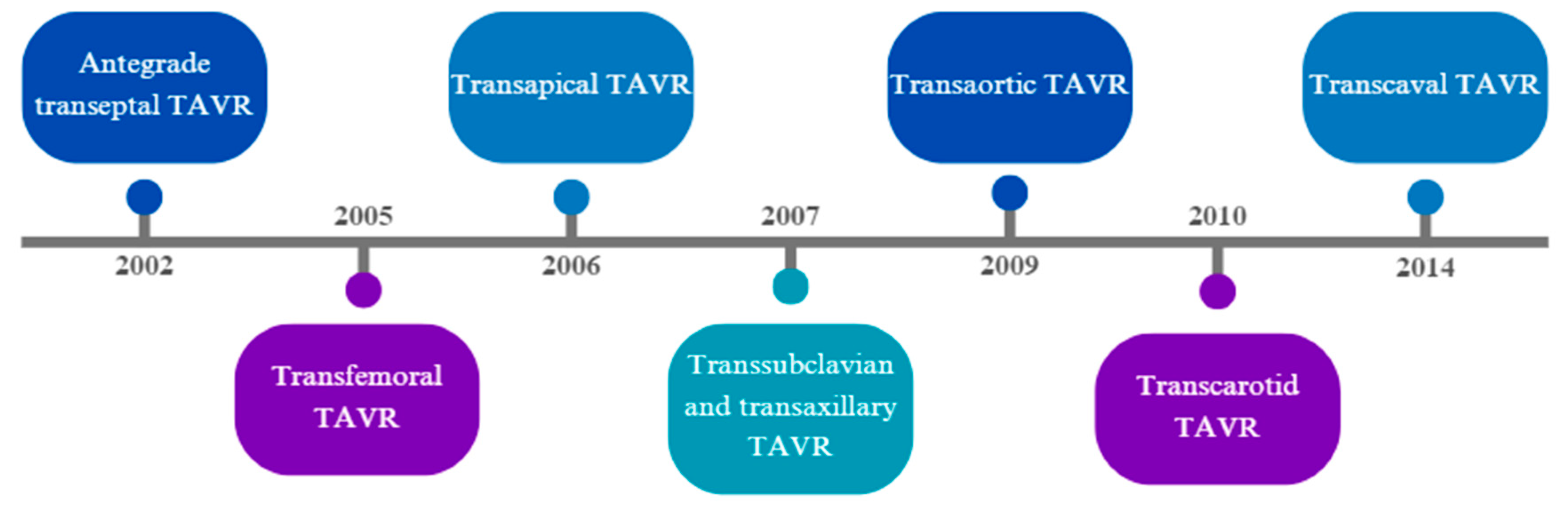 JCM | Free Full-Text | Alternative Access for TAVR: Choosing the Right ...