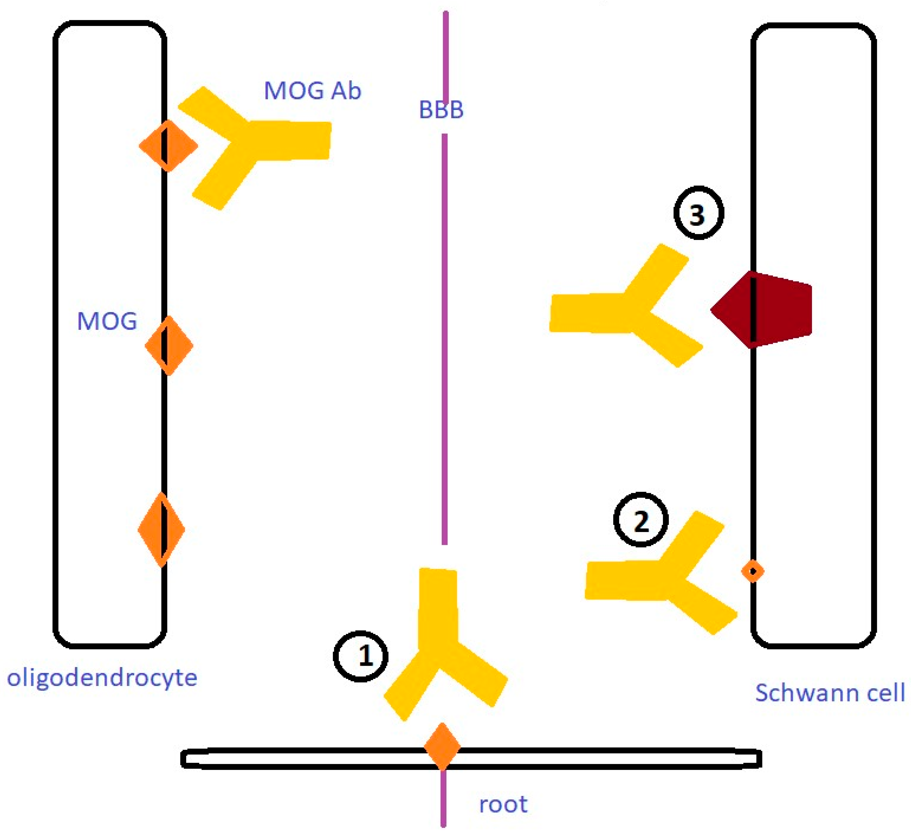 Jcm 13 03604 g001 Jcm 13 03604 g001