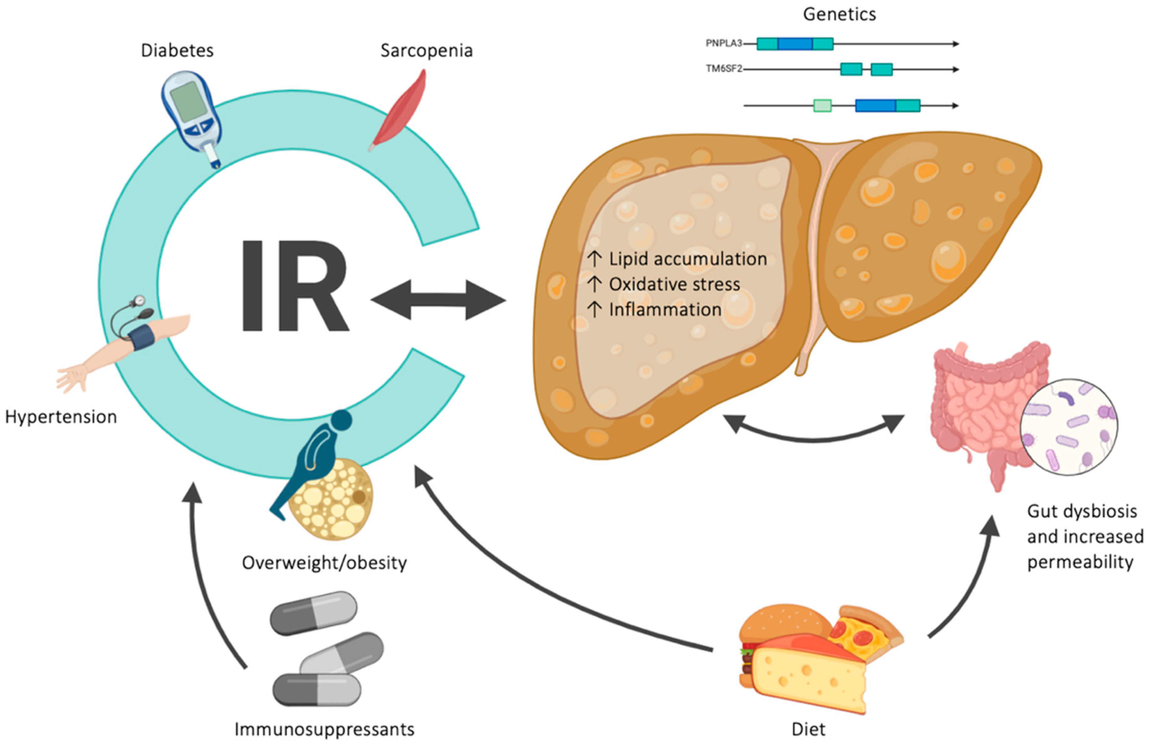 Jcm 13 03871 g001 Jcm 13 03871 g001