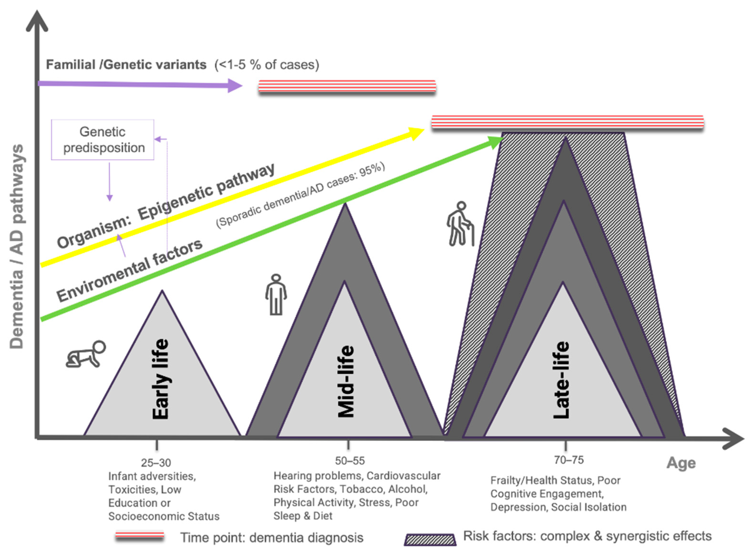 JCM | Free Full-Text | Charting Alzheimer’s Disease and Dementia:  Epidemiological Insights, Risk Factors and Prevention Pathways