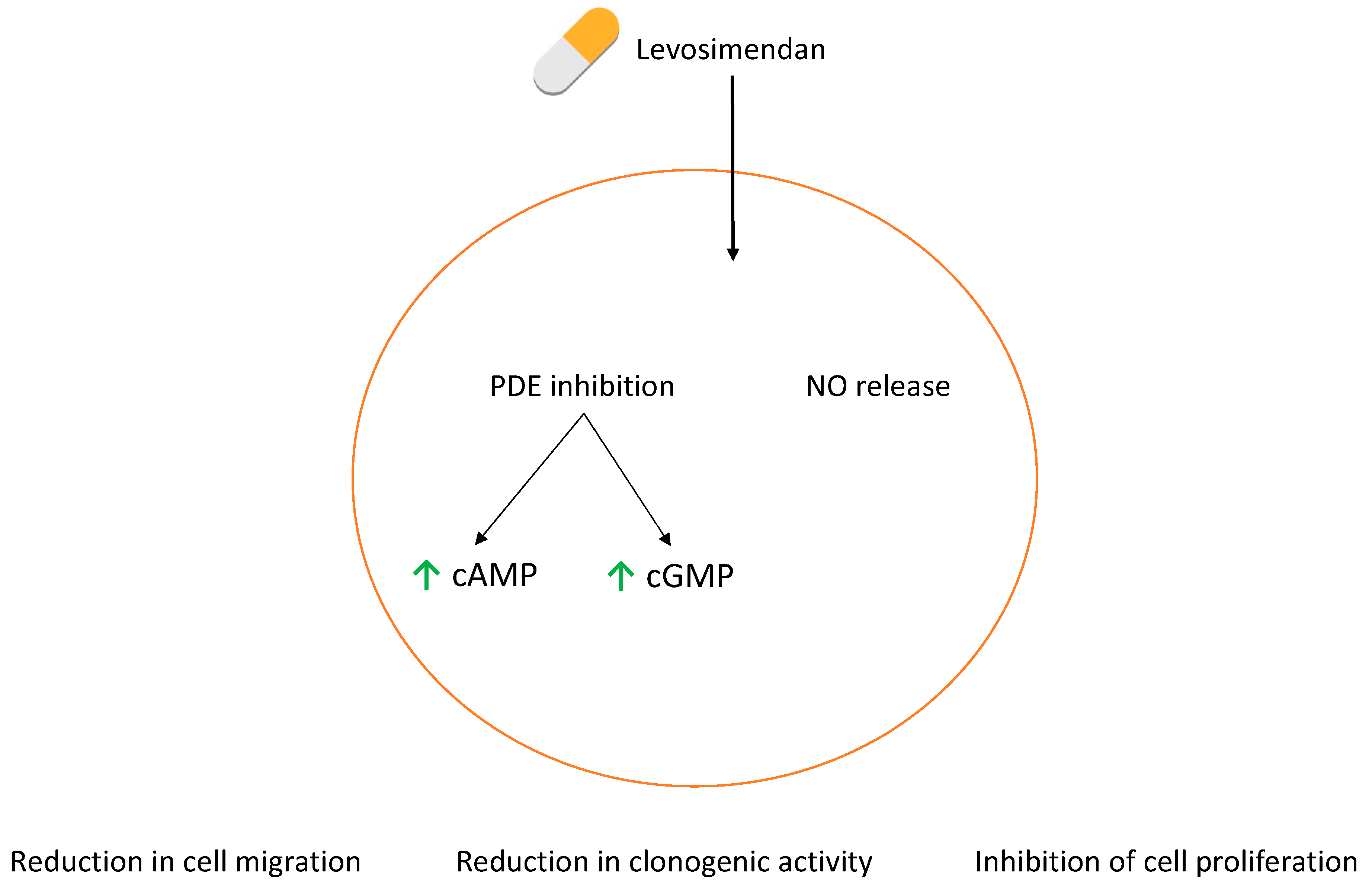 Jcm 13 04113 g012 Jcm 13 04113 g012