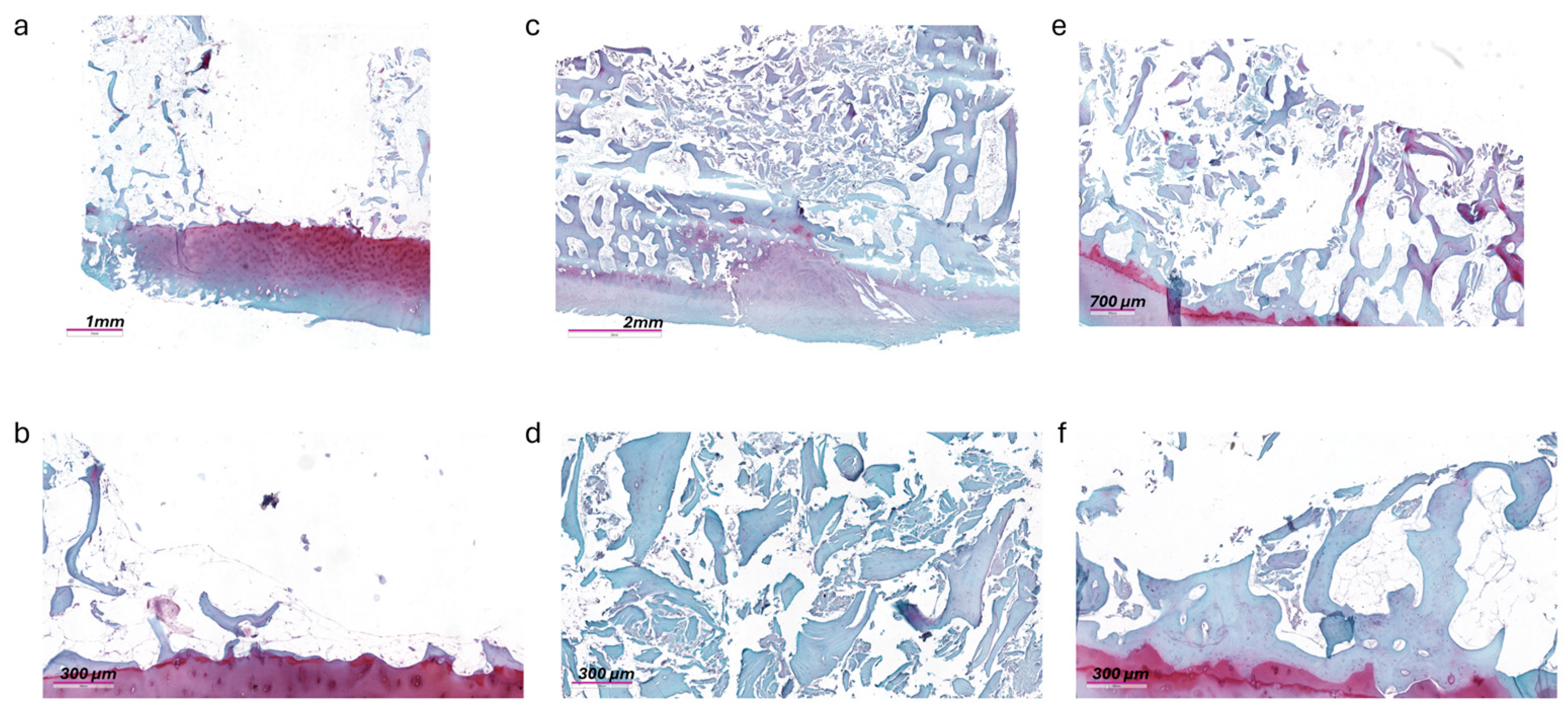 Jcm 13 04138 g006 Jcm 13 04138 g006