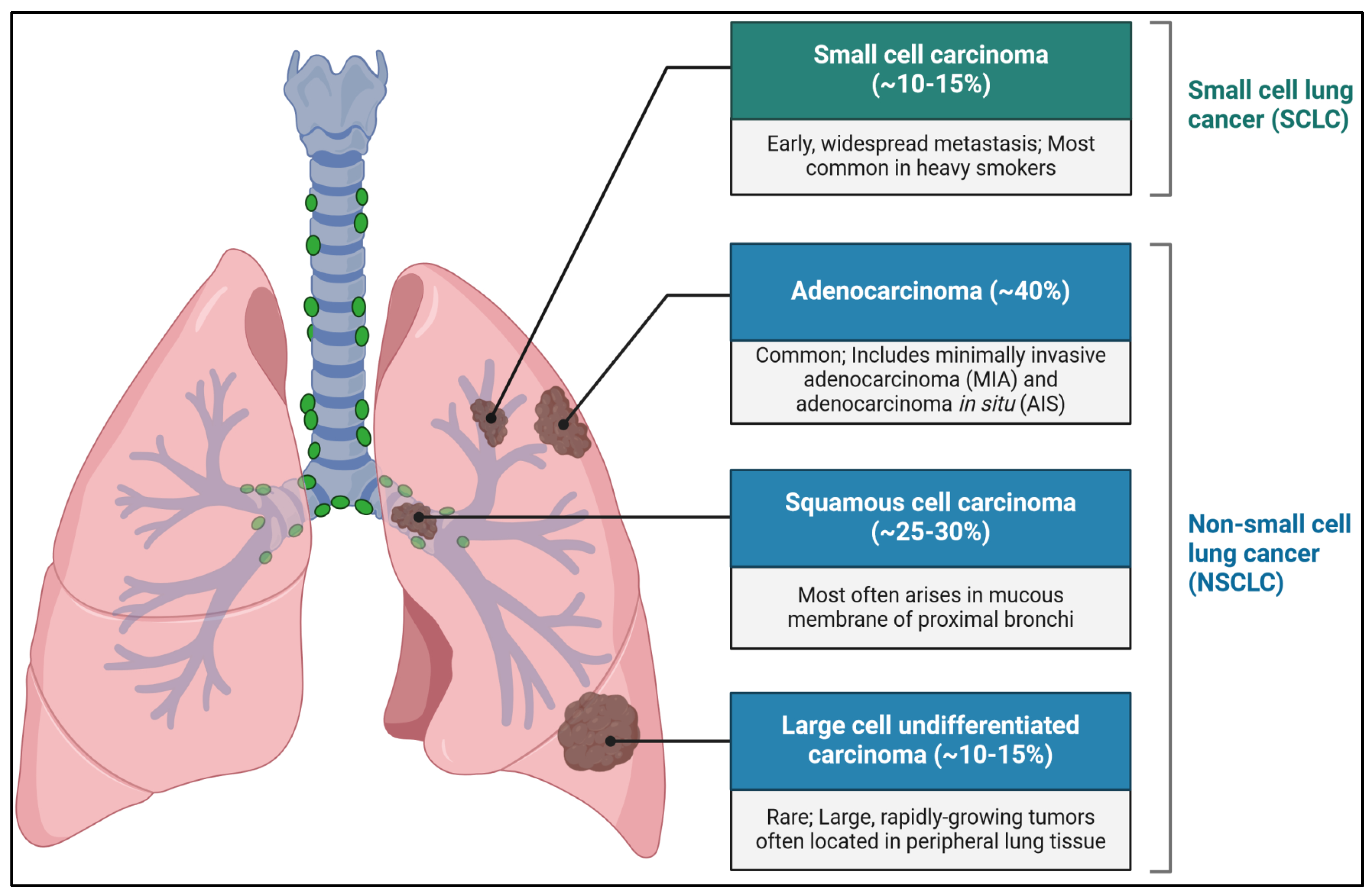 Jcm 13 04189 g001 Jcm 13 04189 g001