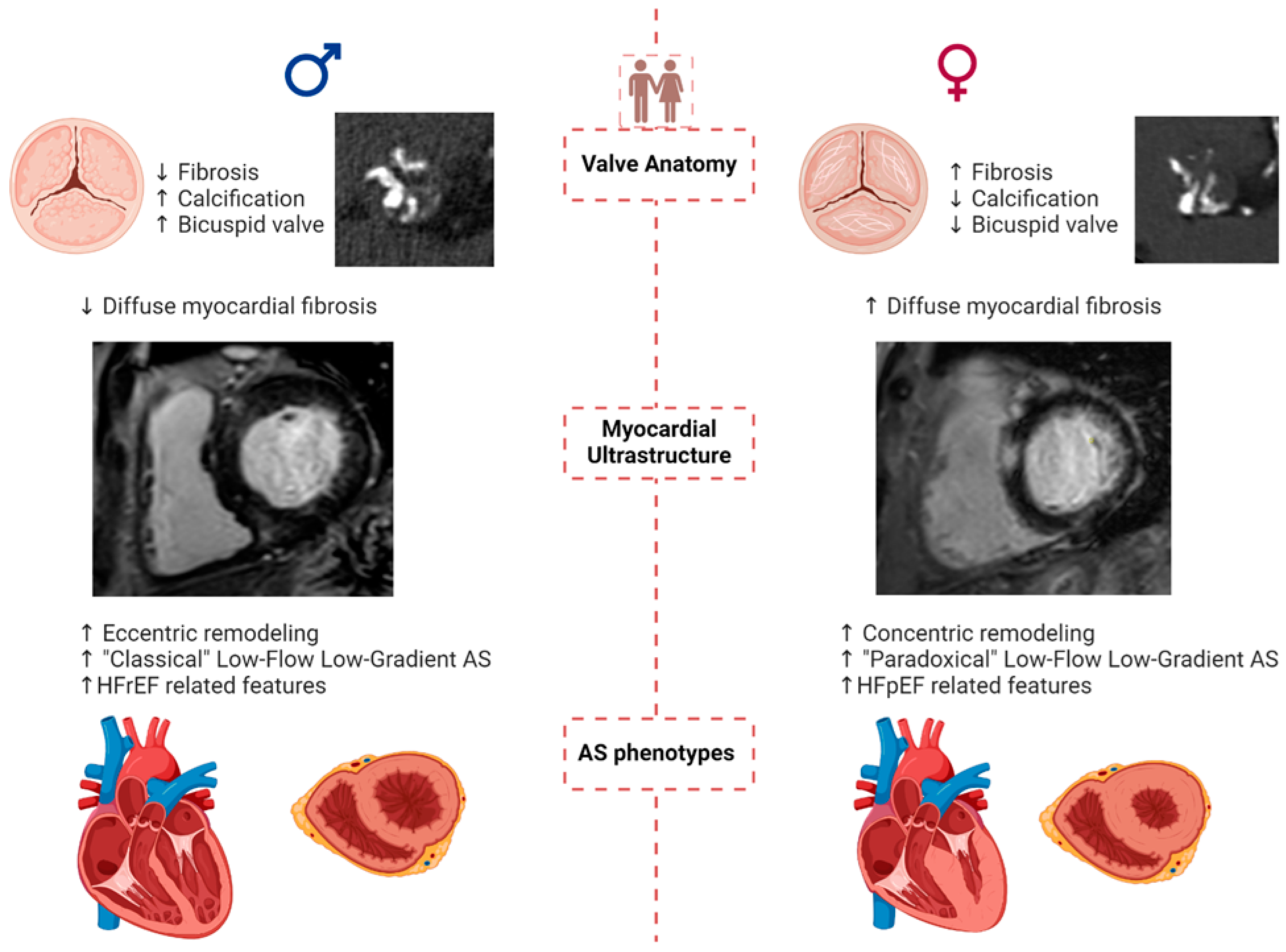 Jcm 13 04237 g001 Jcm 13 04237 g001