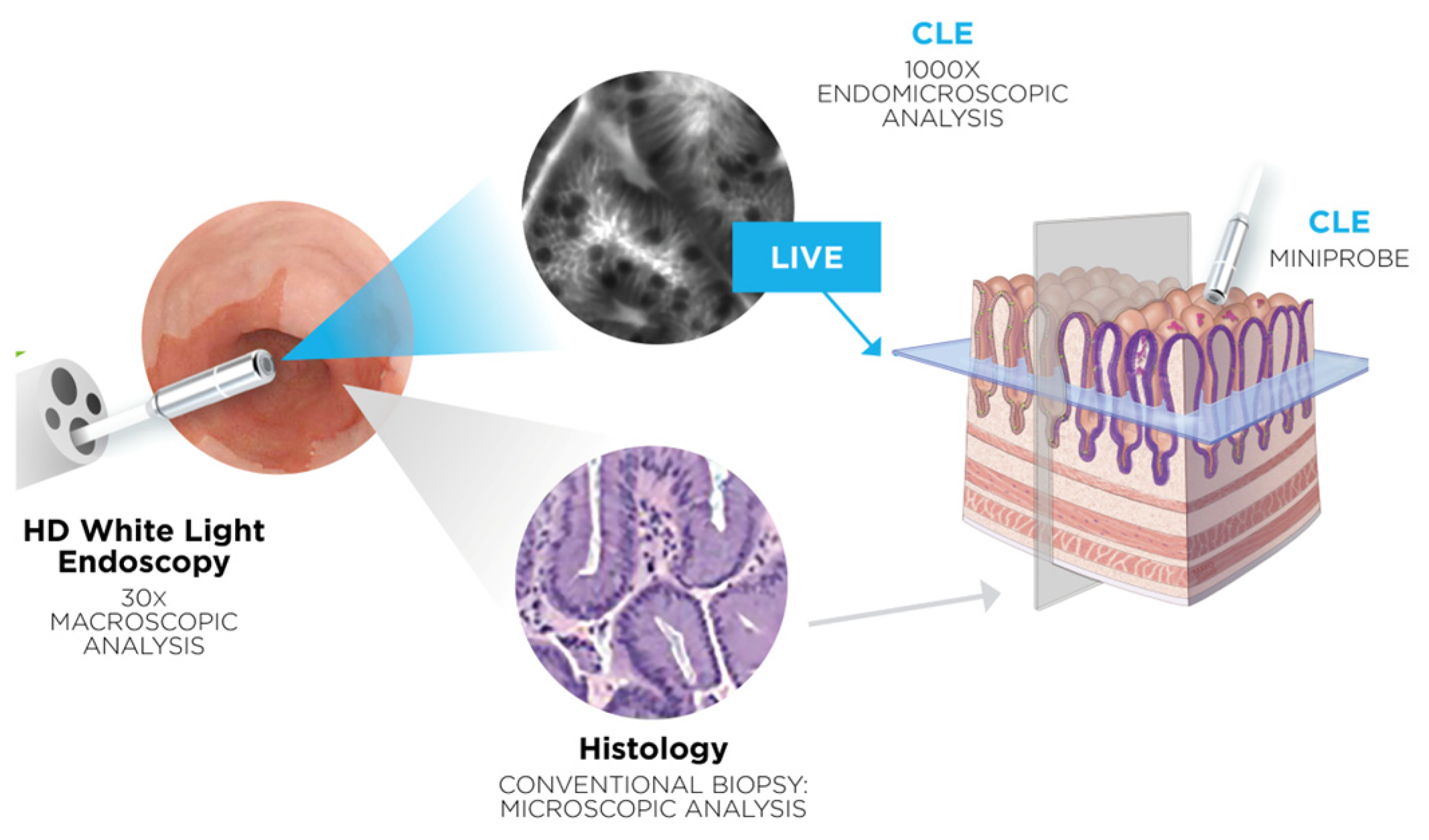 Jcm 13 04483 g001 Jcm 13 04483 g001