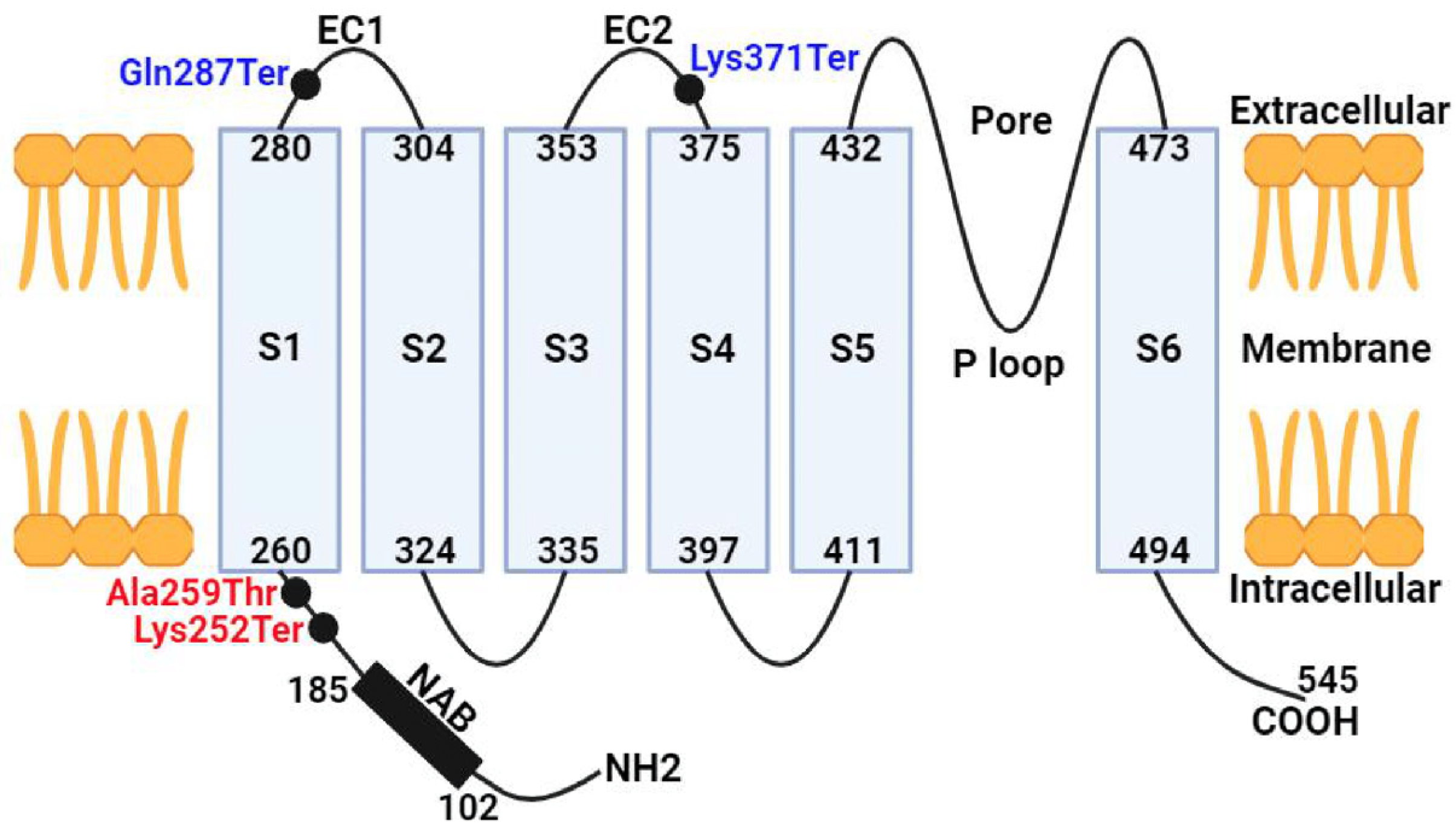 Jcm 13 04592 g005 Jcm 13 04592 g005