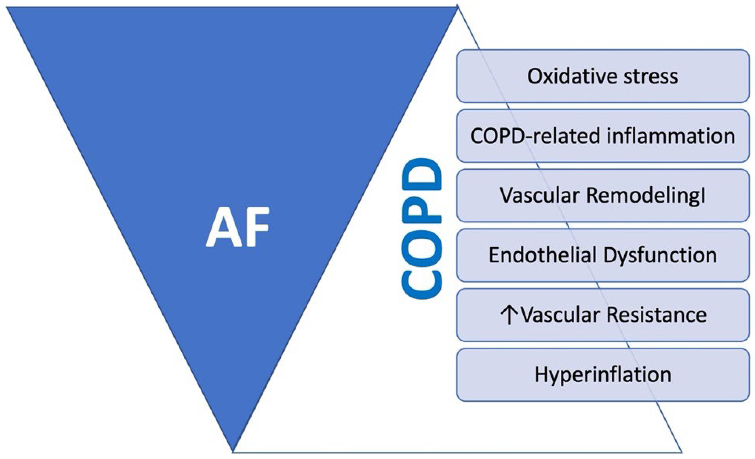 Jcm 13 04621 g005 Jcm 13 04621 g005