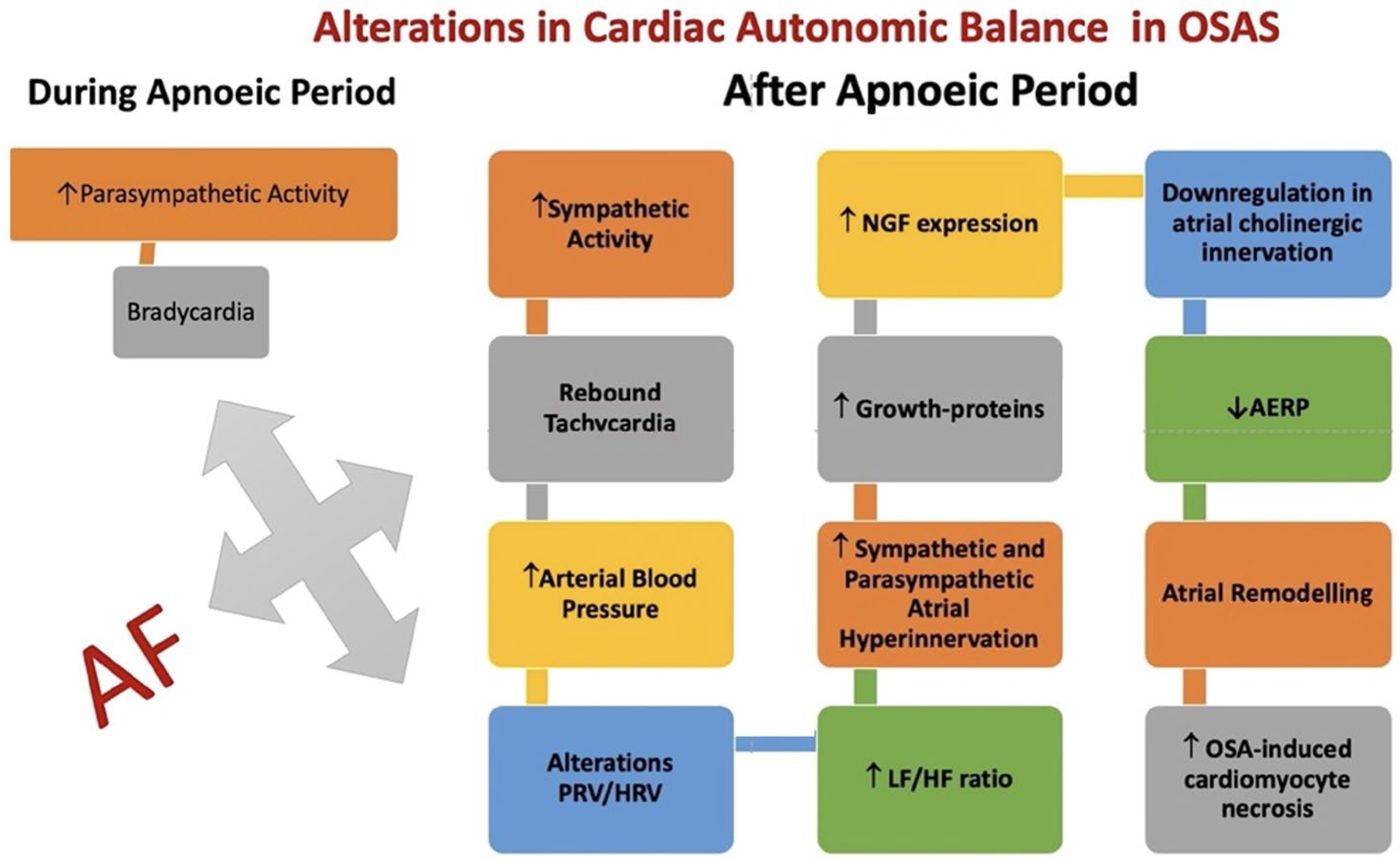 Jcm 13 04621 g006 Jcm 13 04621 g006