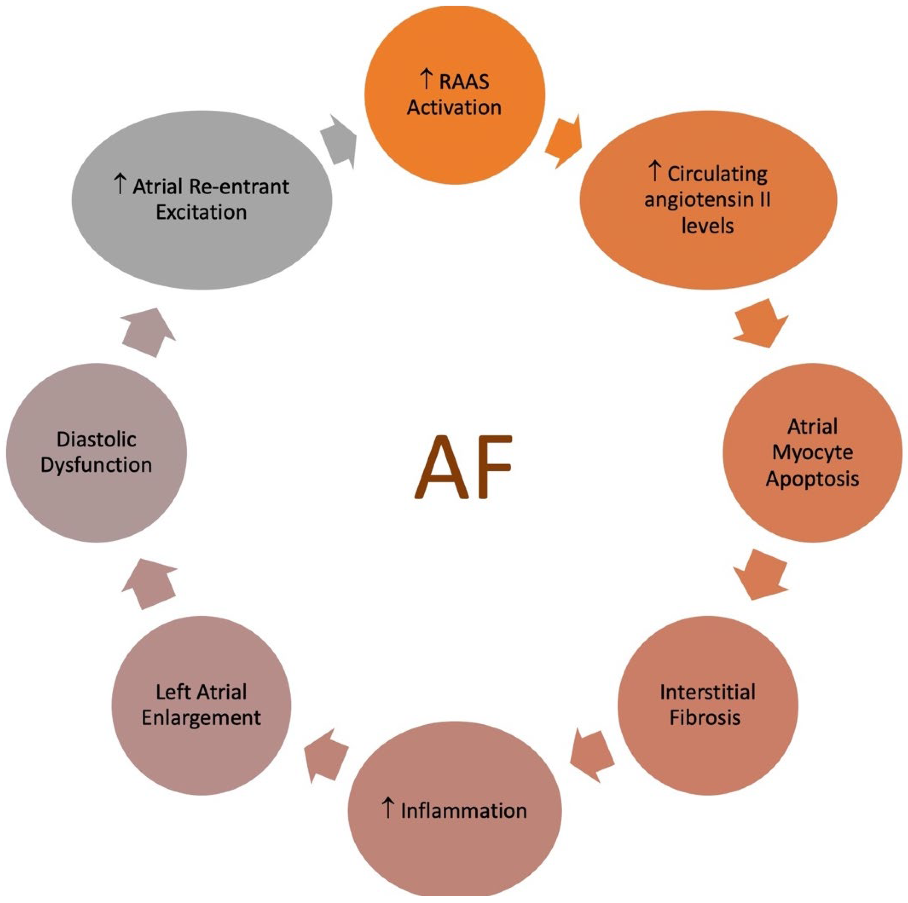 Jcm 13 04621 g007 Jcm 13 04621 g007