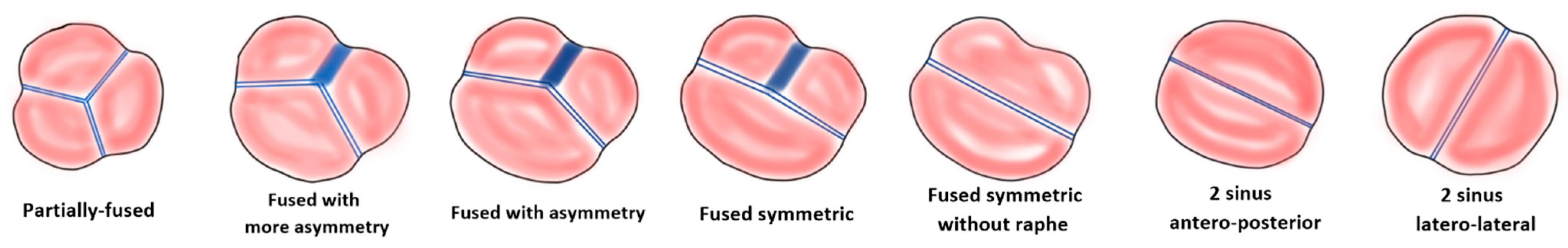 Jcm 13 04970 g001 Jcm 13 04970 g001