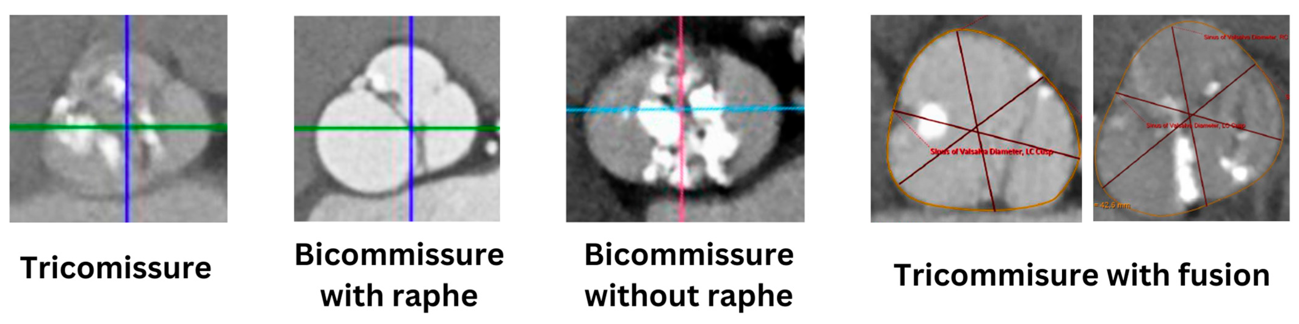 Jcm 13 04970 g002 Jcm 13 04970 g002