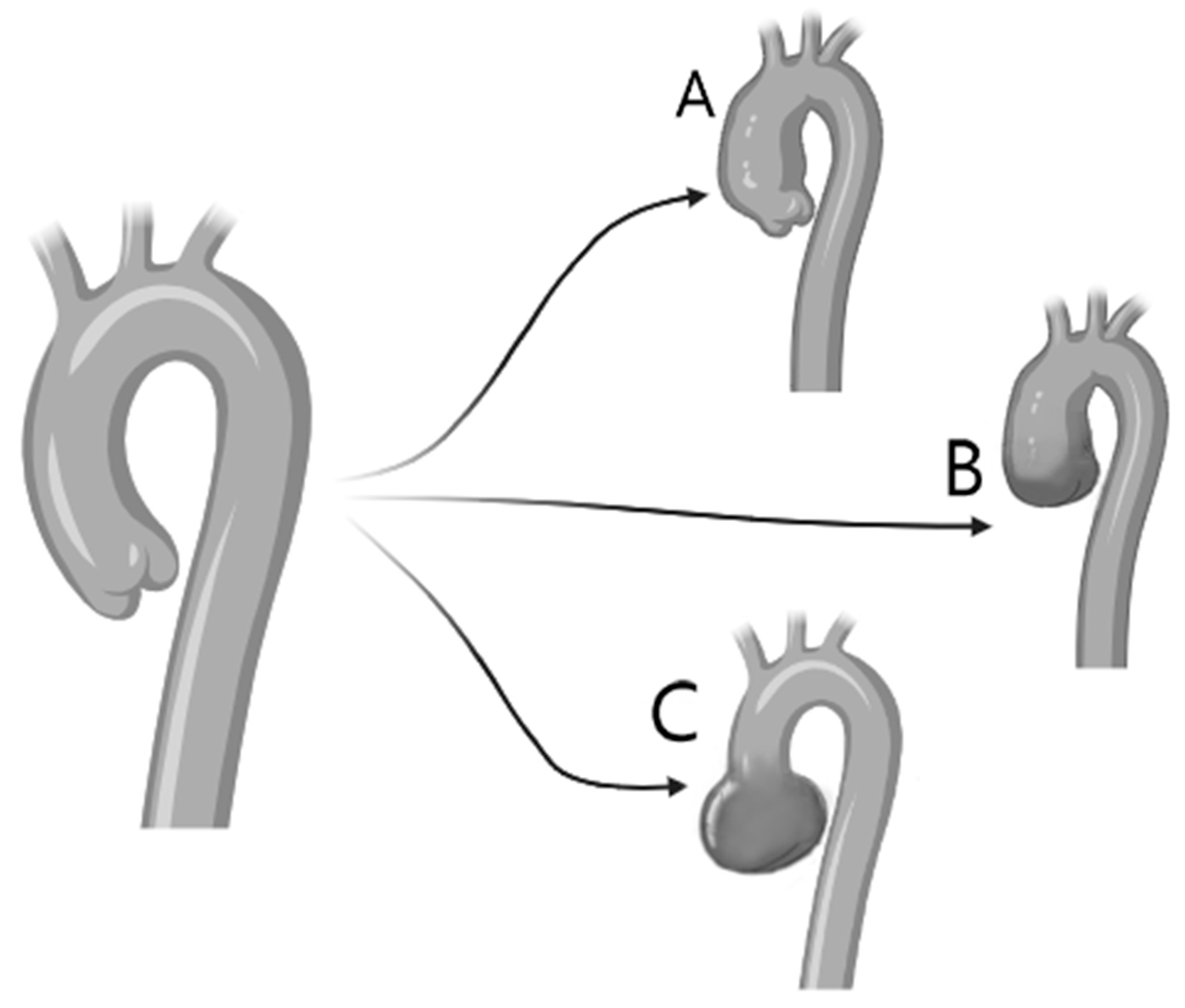 Jcm 13 04970 g003 Jcm 13 04970 g003