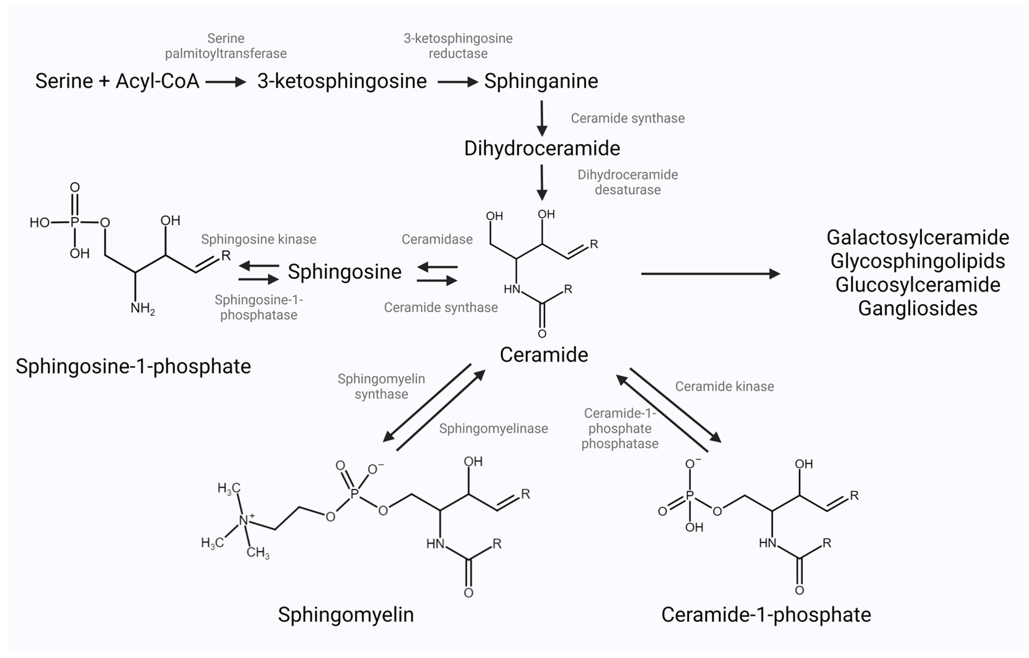 Jcm 13 05050 g001 Jcm 13 05050 g001