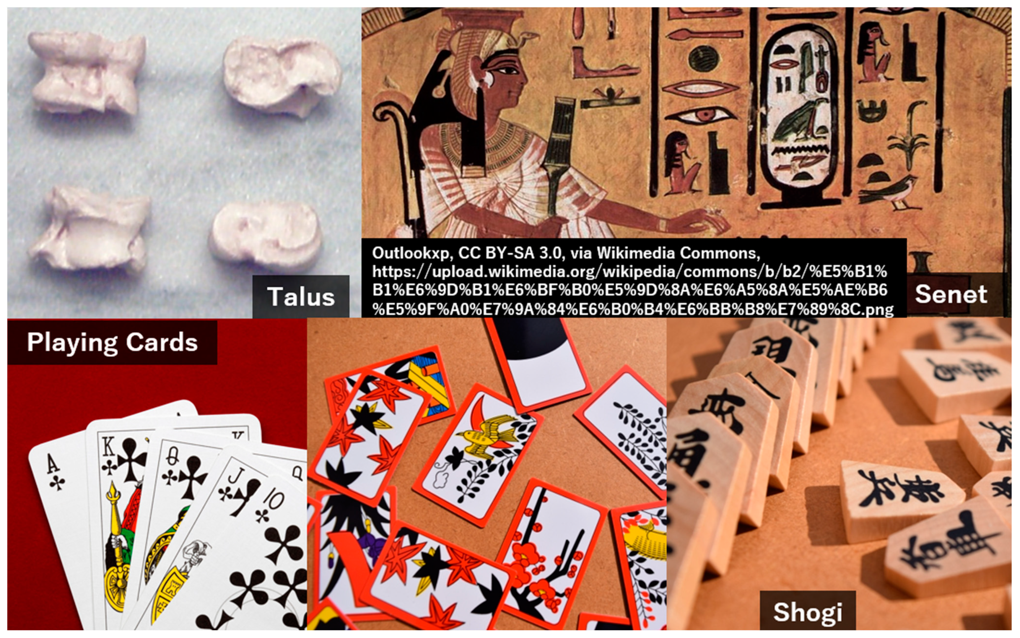 Jcm 13 05122 g001 Jcm 13 05122 g001