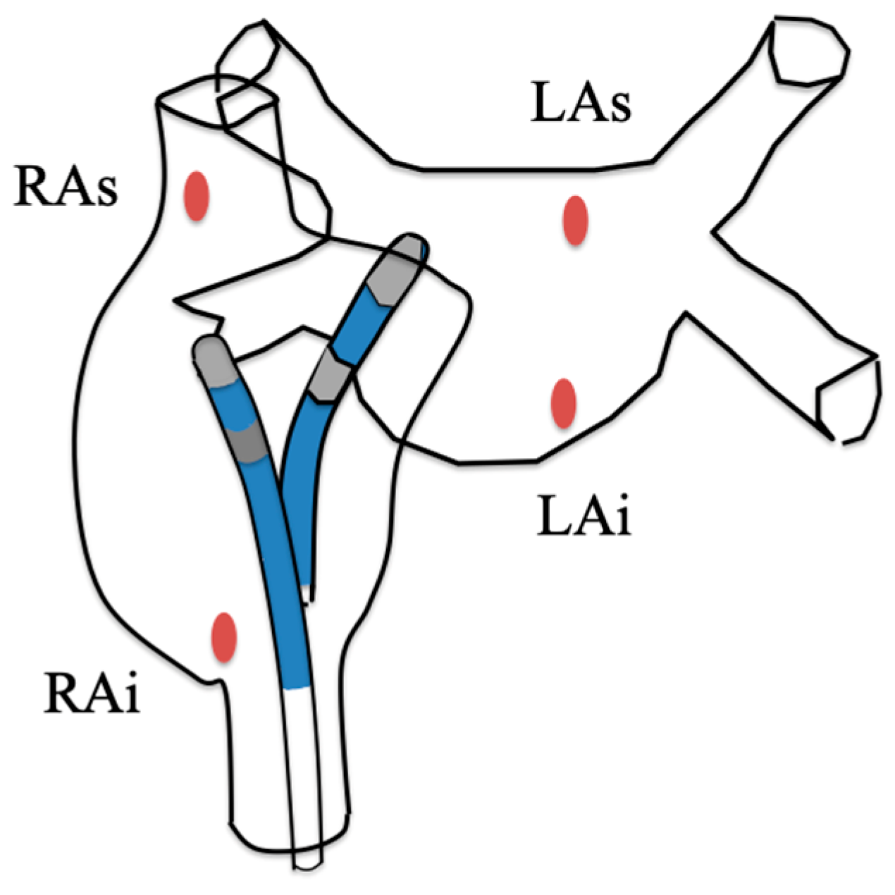 Jcm 13 05153 g001 Jcm 13 05153 g001