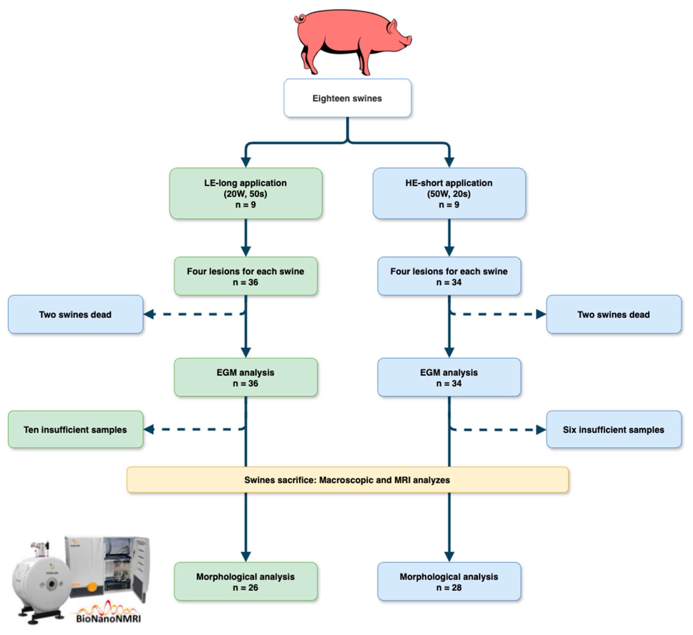 Jcm 13 05153 g005 Jcm 13 05153 g005
