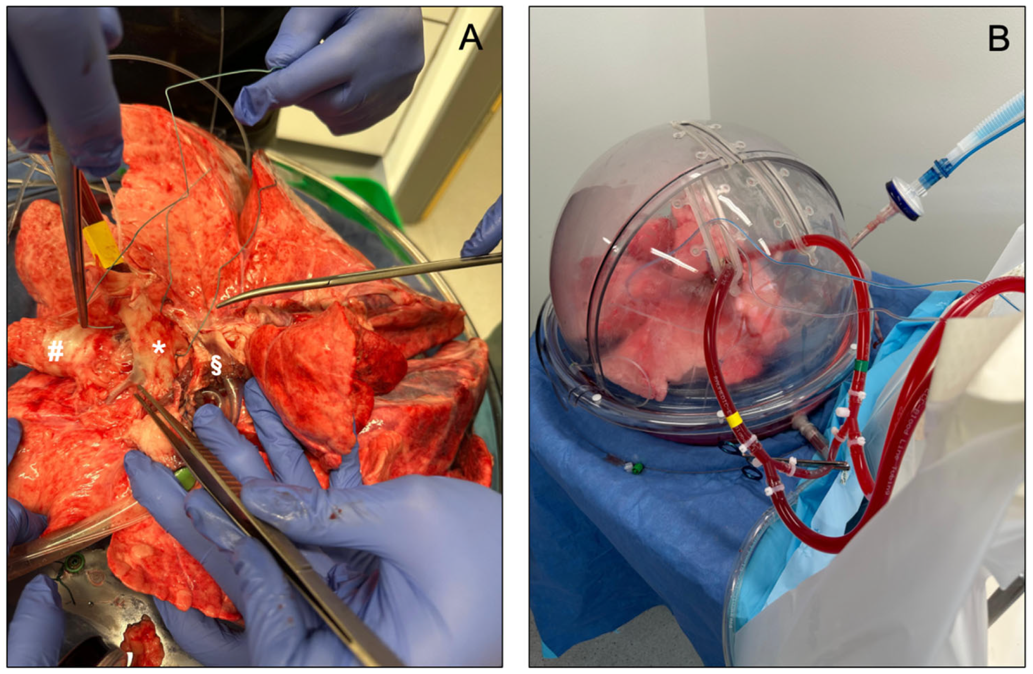 Jcm 13 05516 g003 Jcm 13 05516 g003