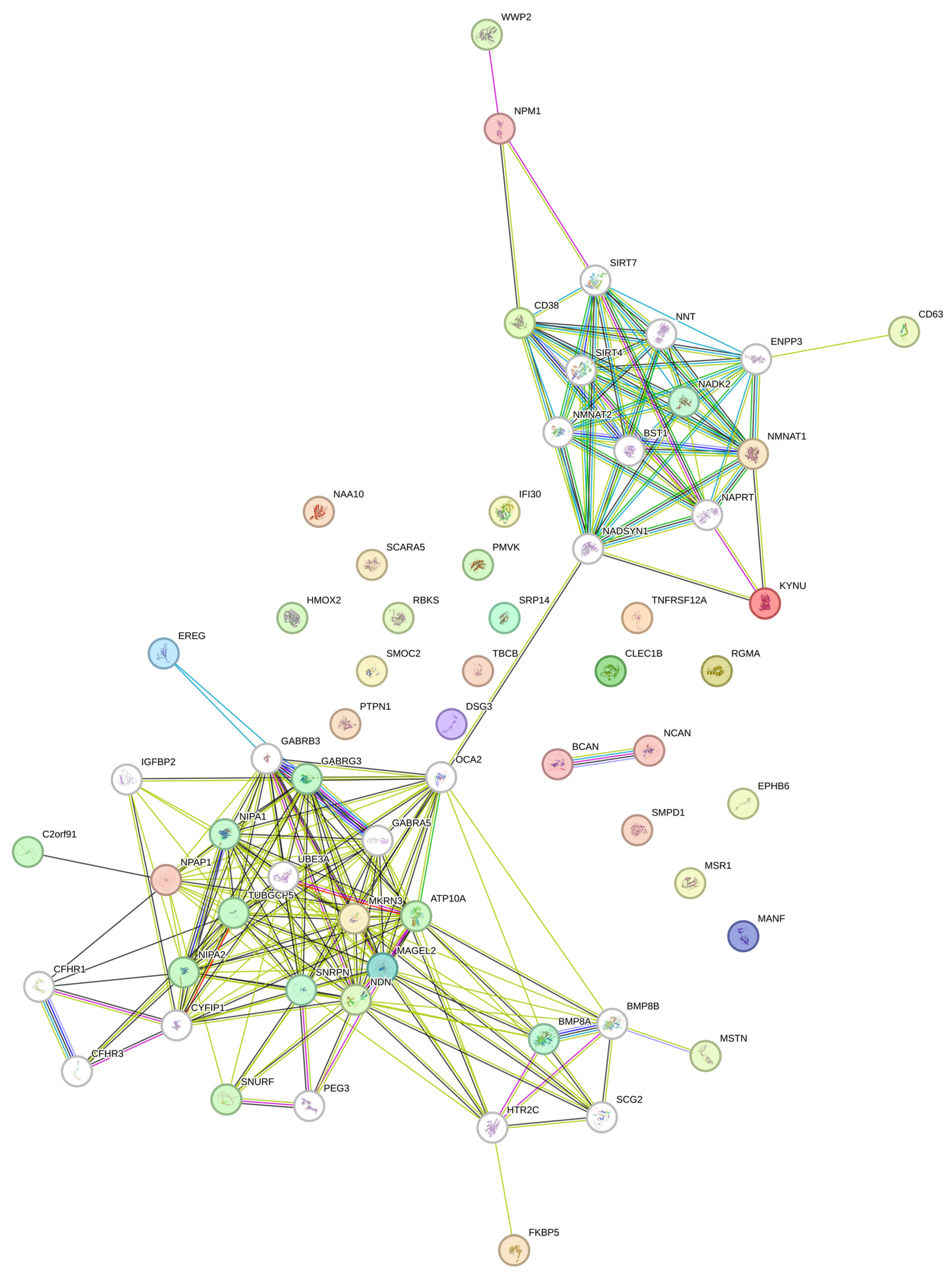 Jcm 13 05697 g003 Jcm 13 05697 g003