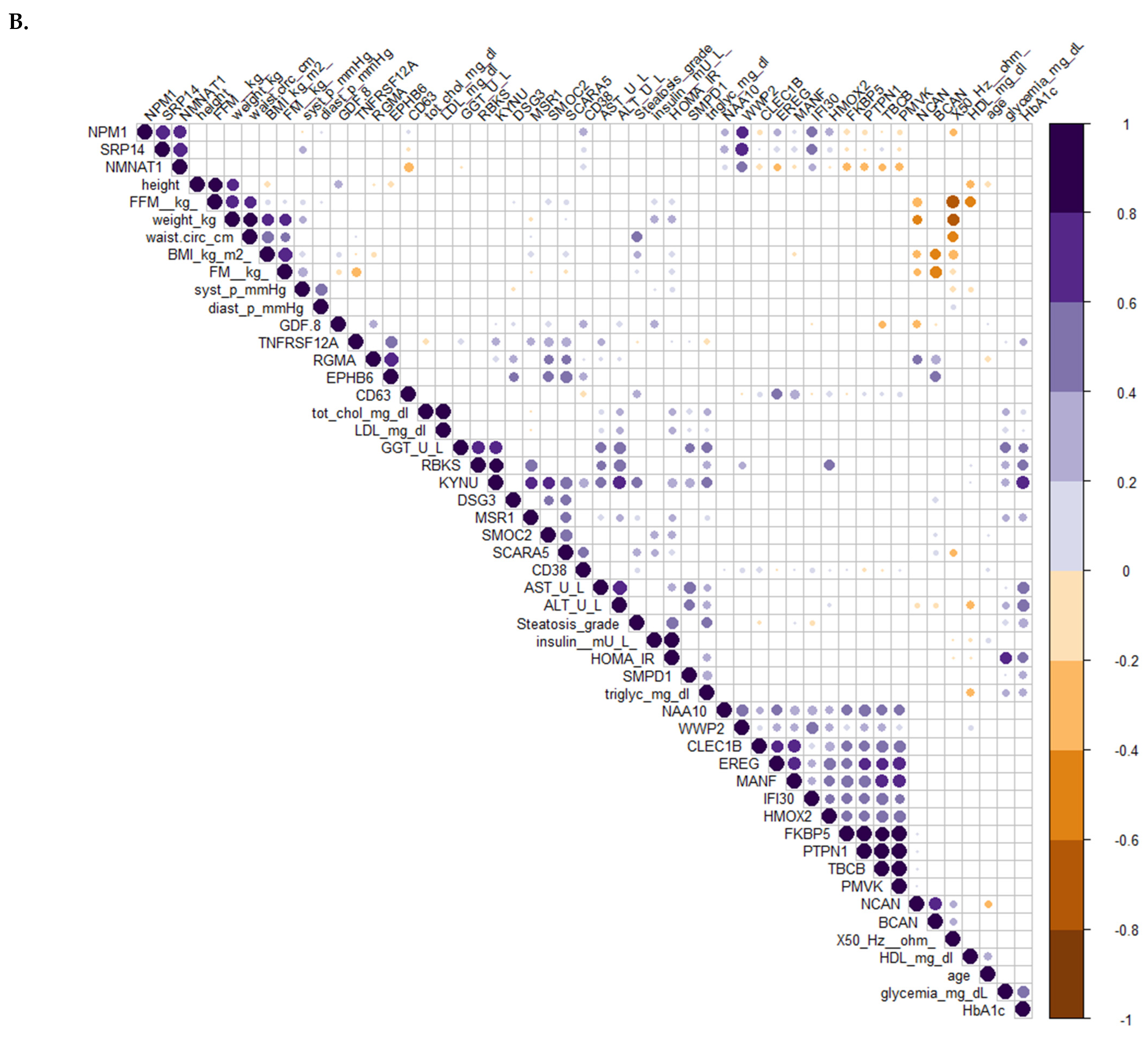 Jcm 13 05697 g004b Jcm 13 05697 g004b