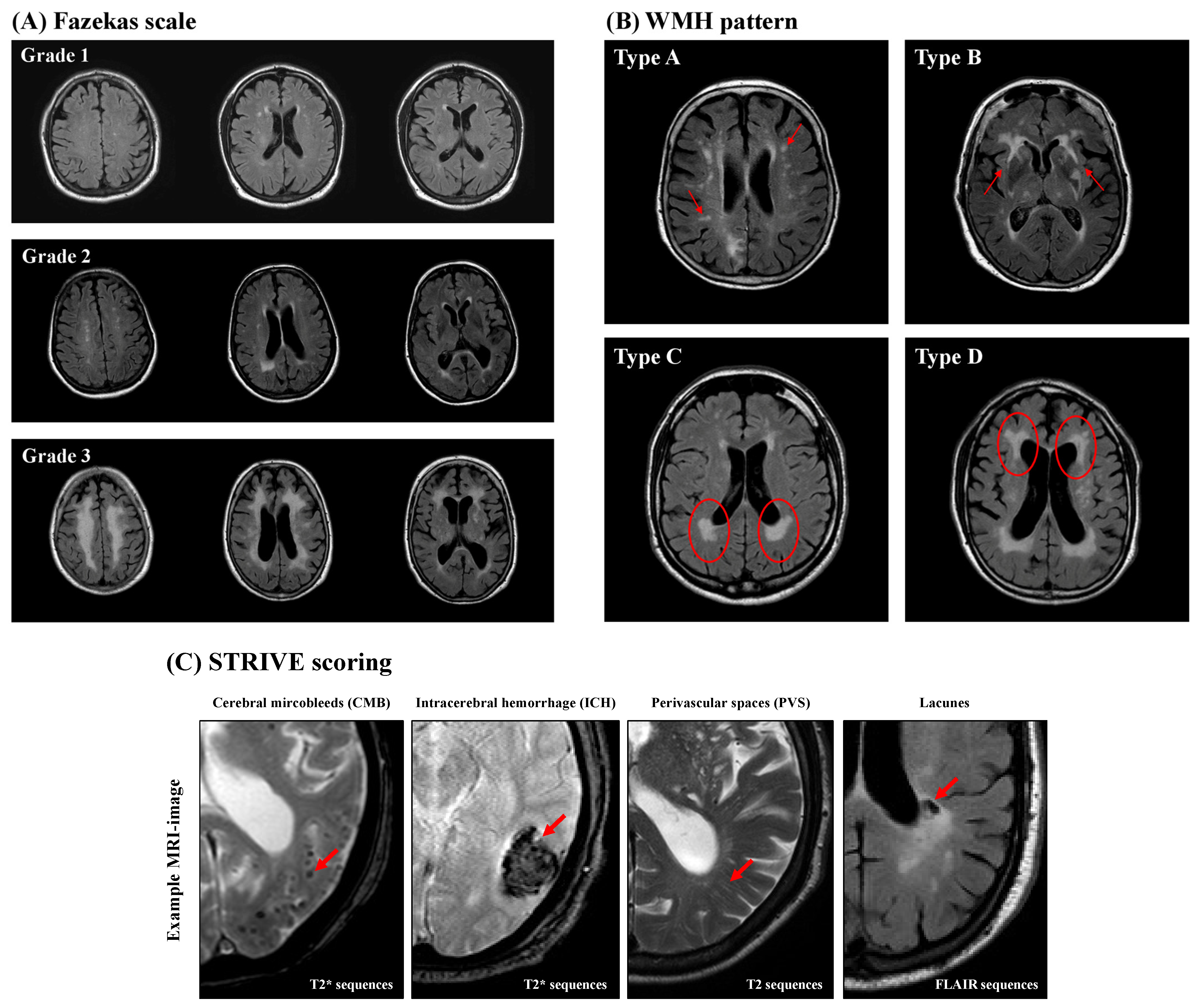 Jcm 13 05864 g002 Jcm 13 05864 g002