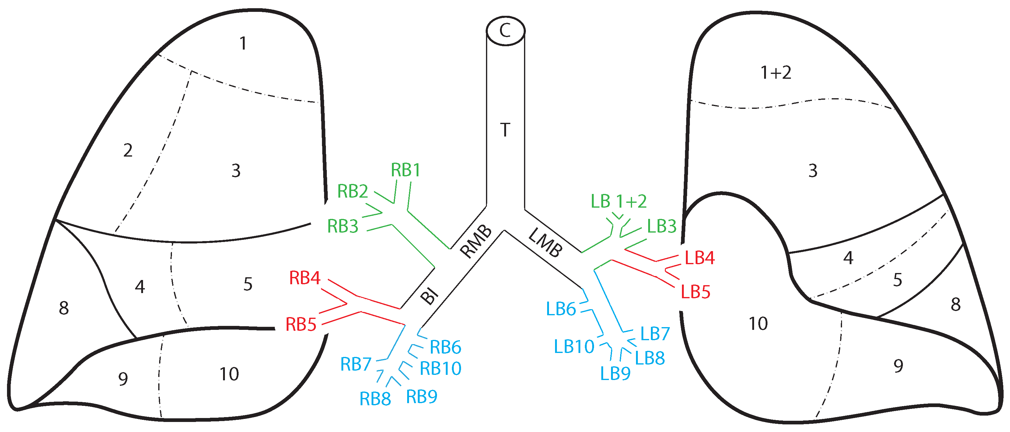 Jcm 13 06020 g001 Jcm 13 06020 g001