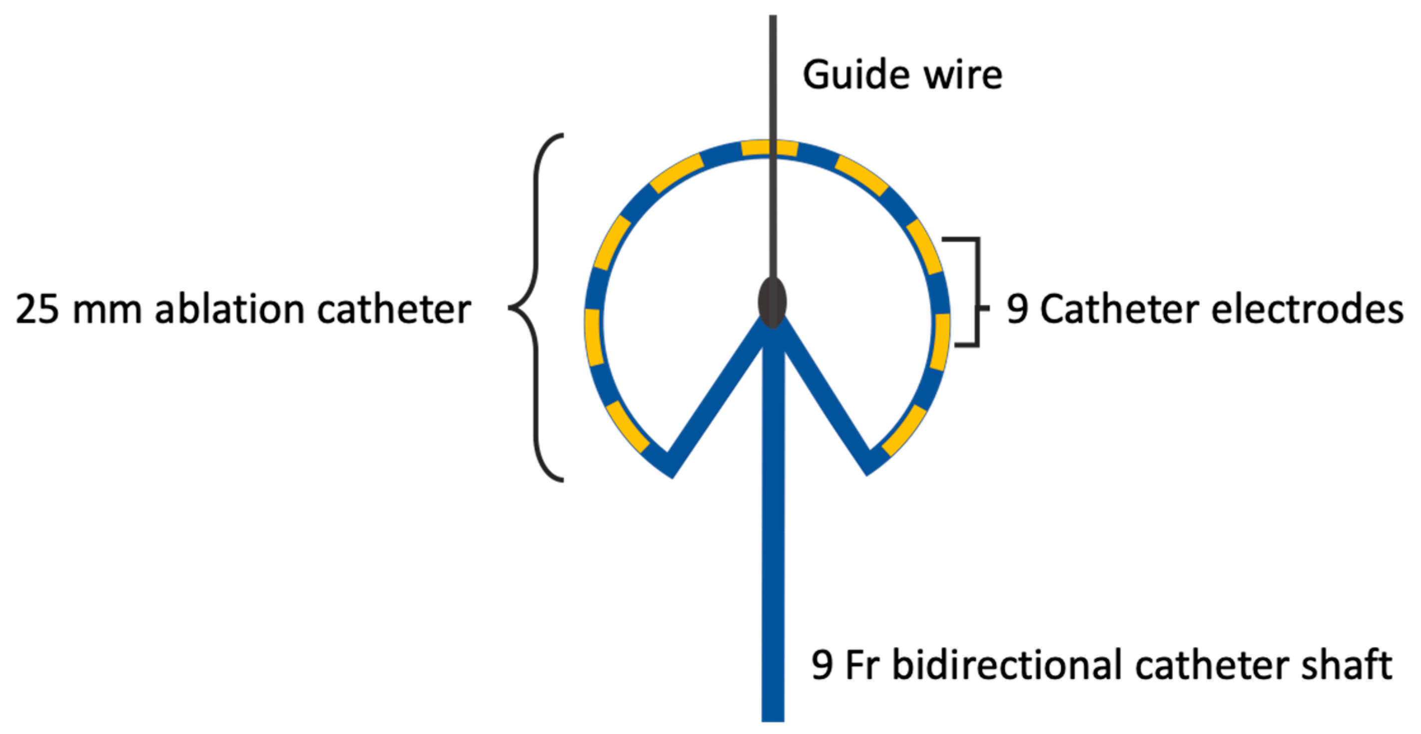 Jcm 13 07040 g001 Jcm 13 07040 g001