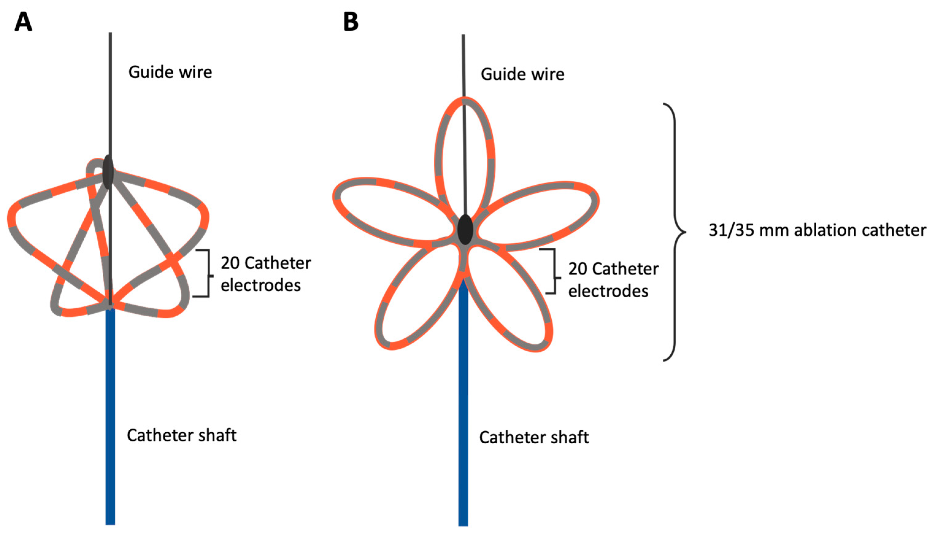 Jcm 13 07040 g004 Jcm 13 07040 g004
