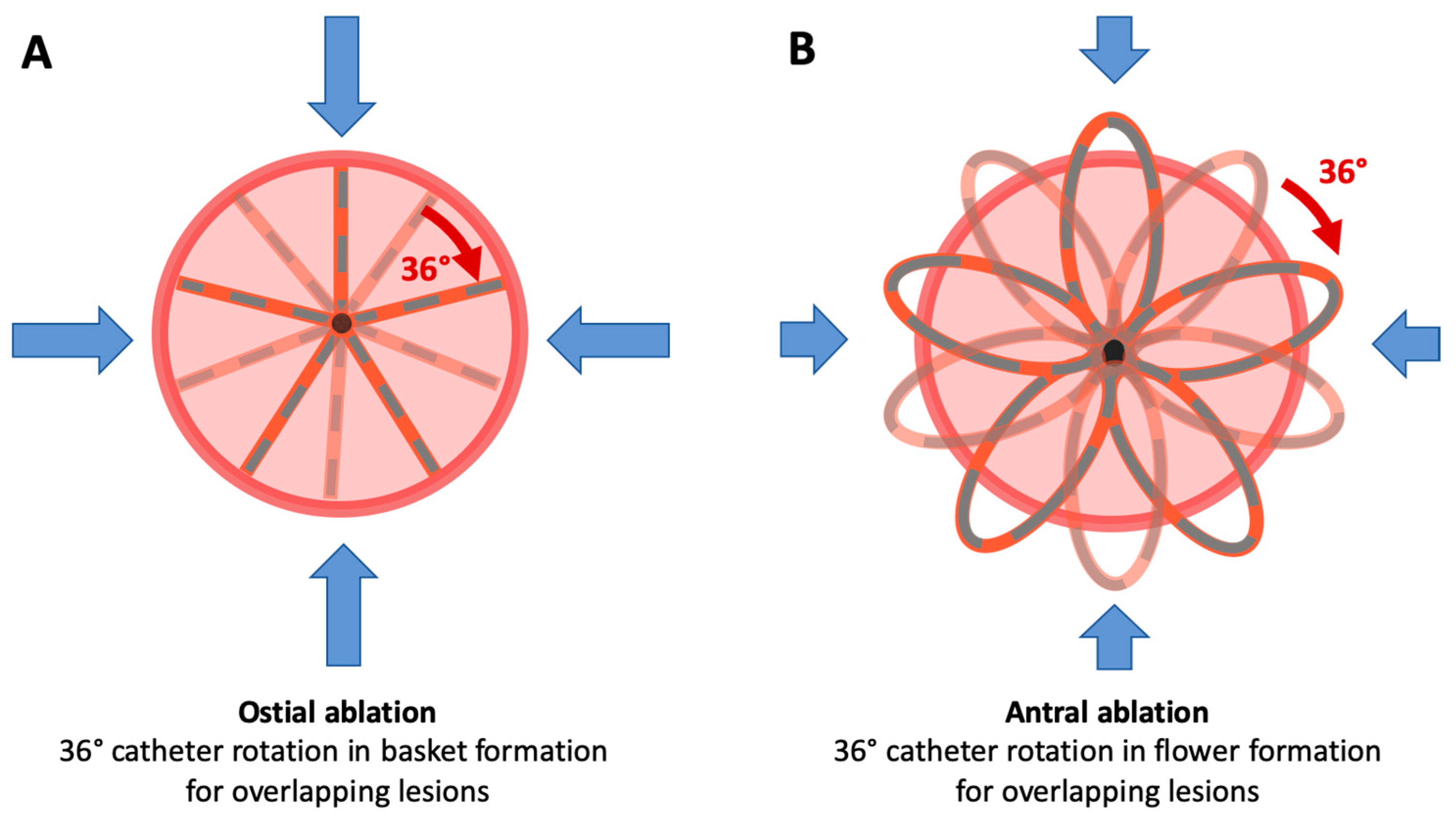 Jcm 13 07040 g005 Jcm 13 07040 g005