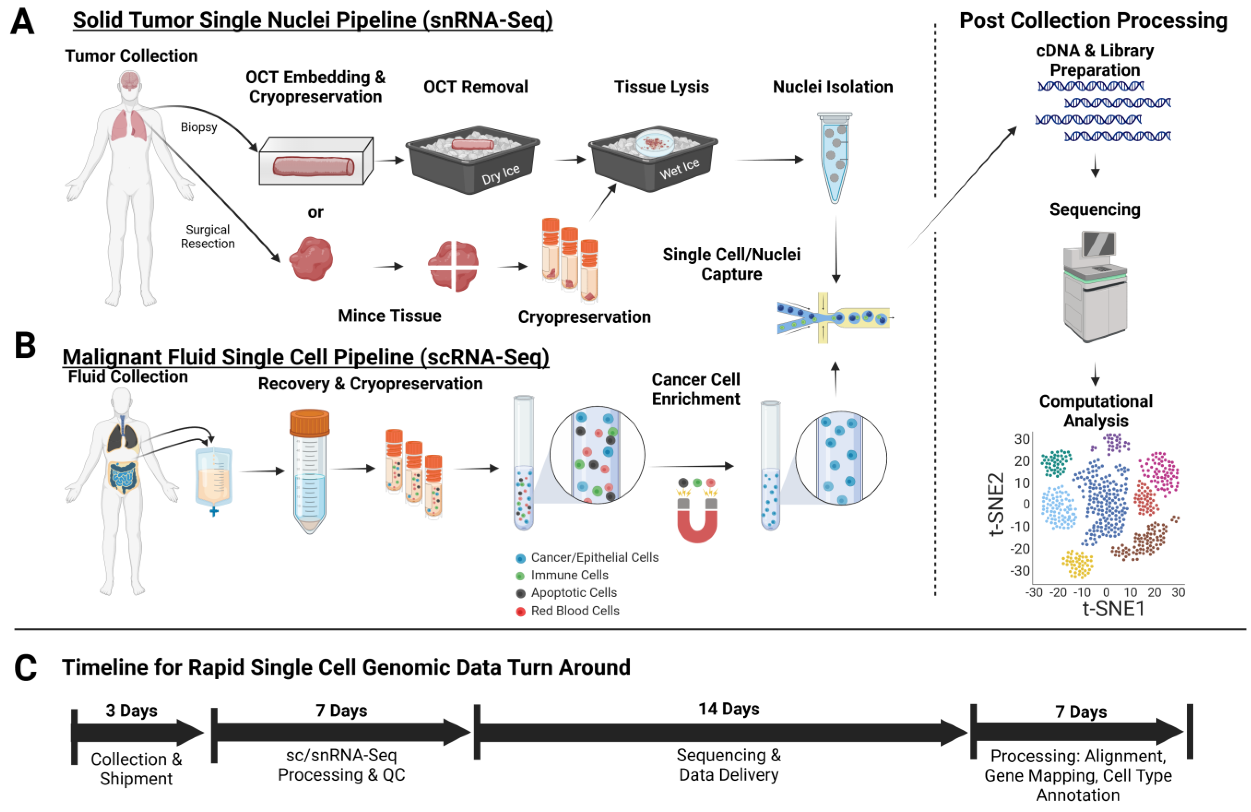 Jcm 13 07507 g001 Jcm 13 07507 g001