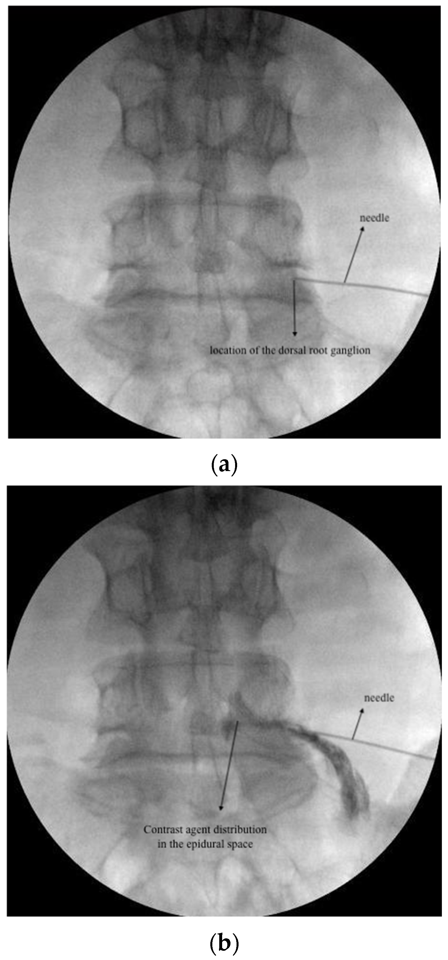 Jcm 13 07821 g001a Jcm 13 07821 g001a