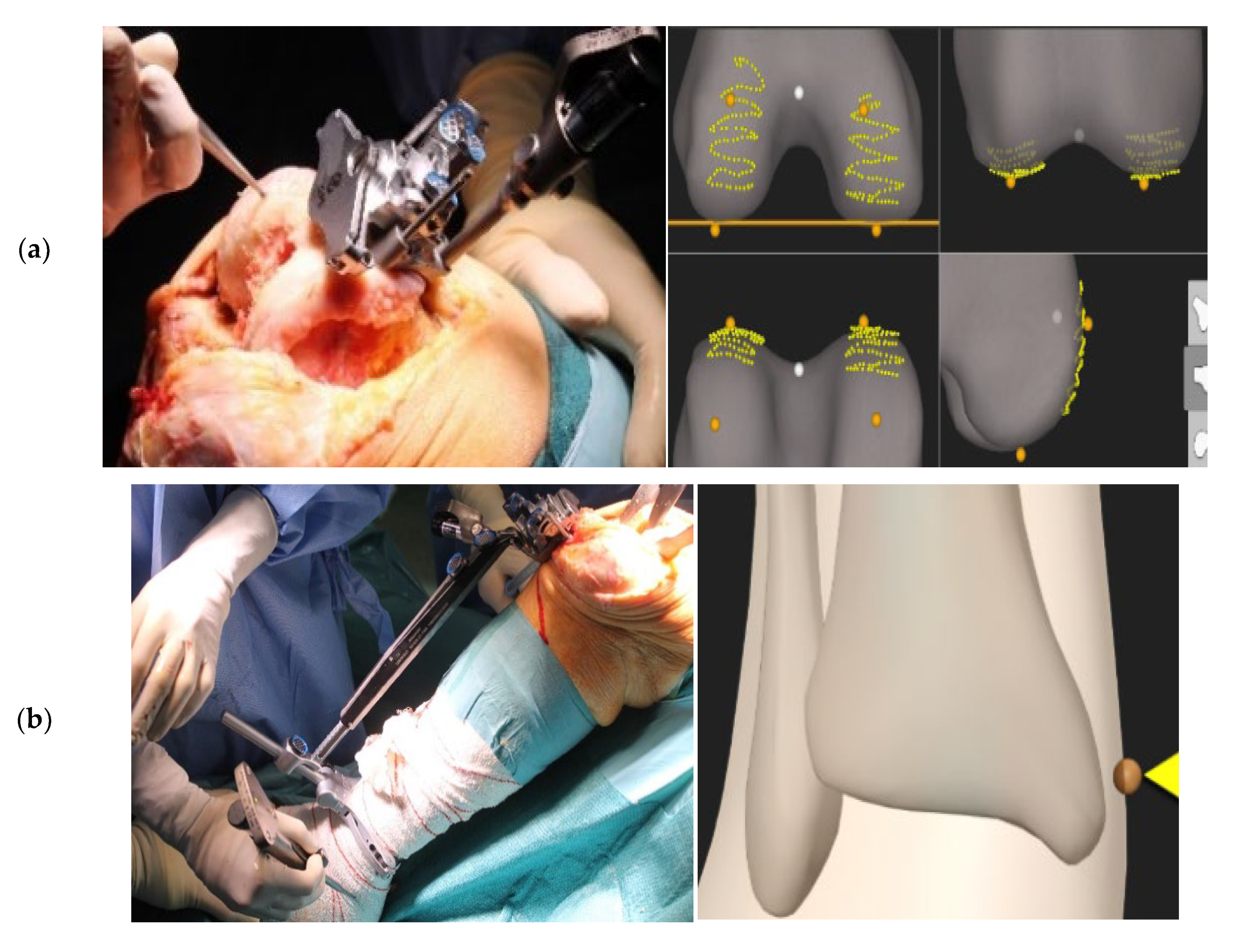 Jcm 14 00429 g001 Jcm 14 00429 g001