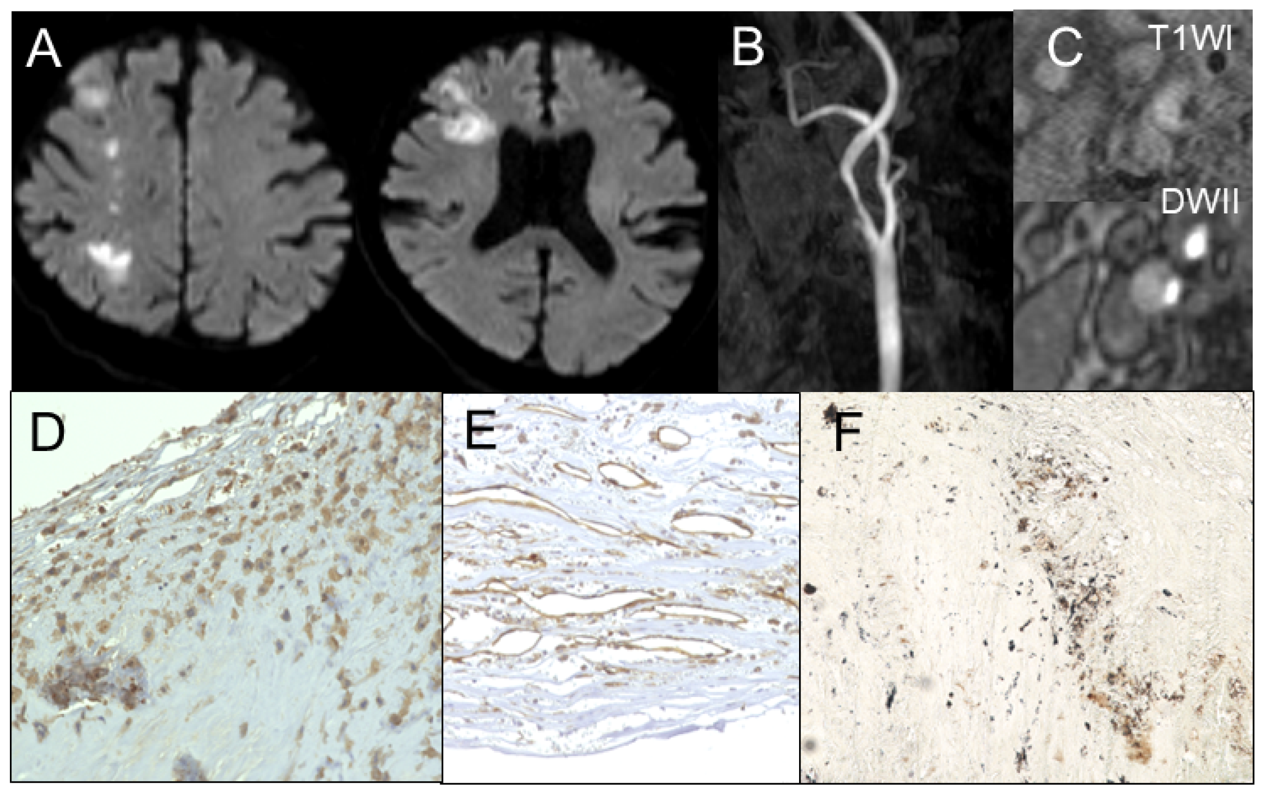 Jcm 14 00518 g001 Jcm 14 00518 g001