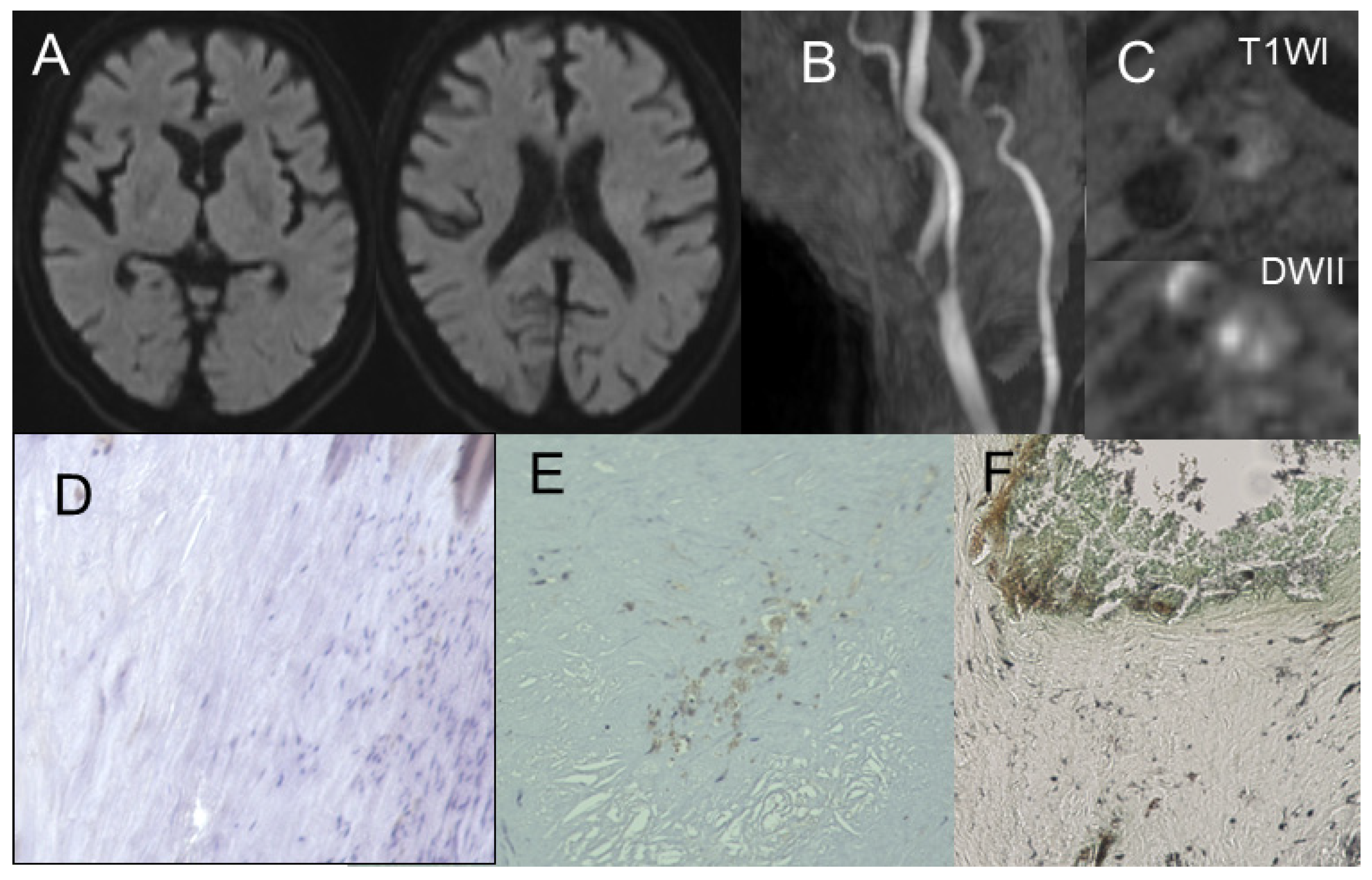 Jcm 14 00518 g002 Jcm 14 00518 g002