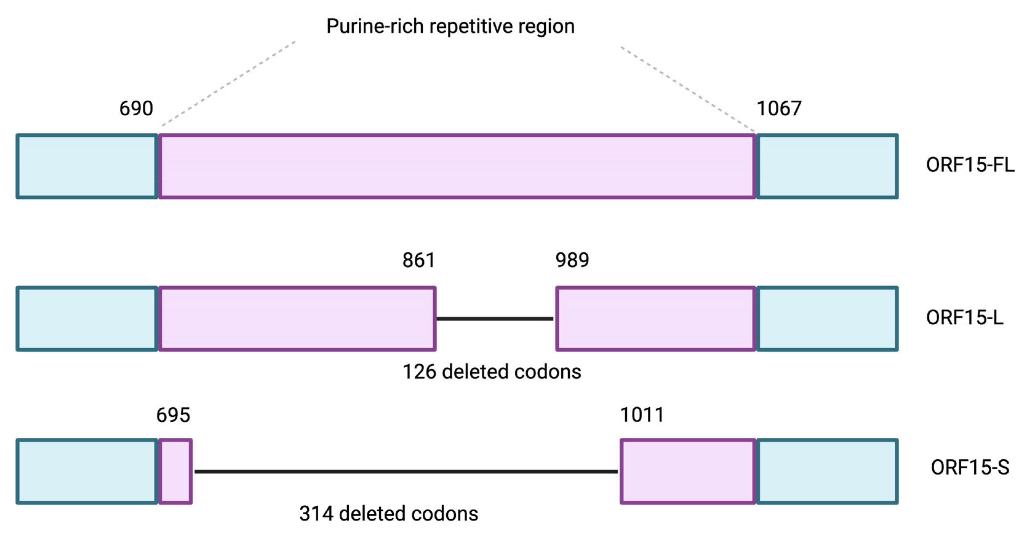 Jcm 14 00898 g004 Jcm 14 00898 g004