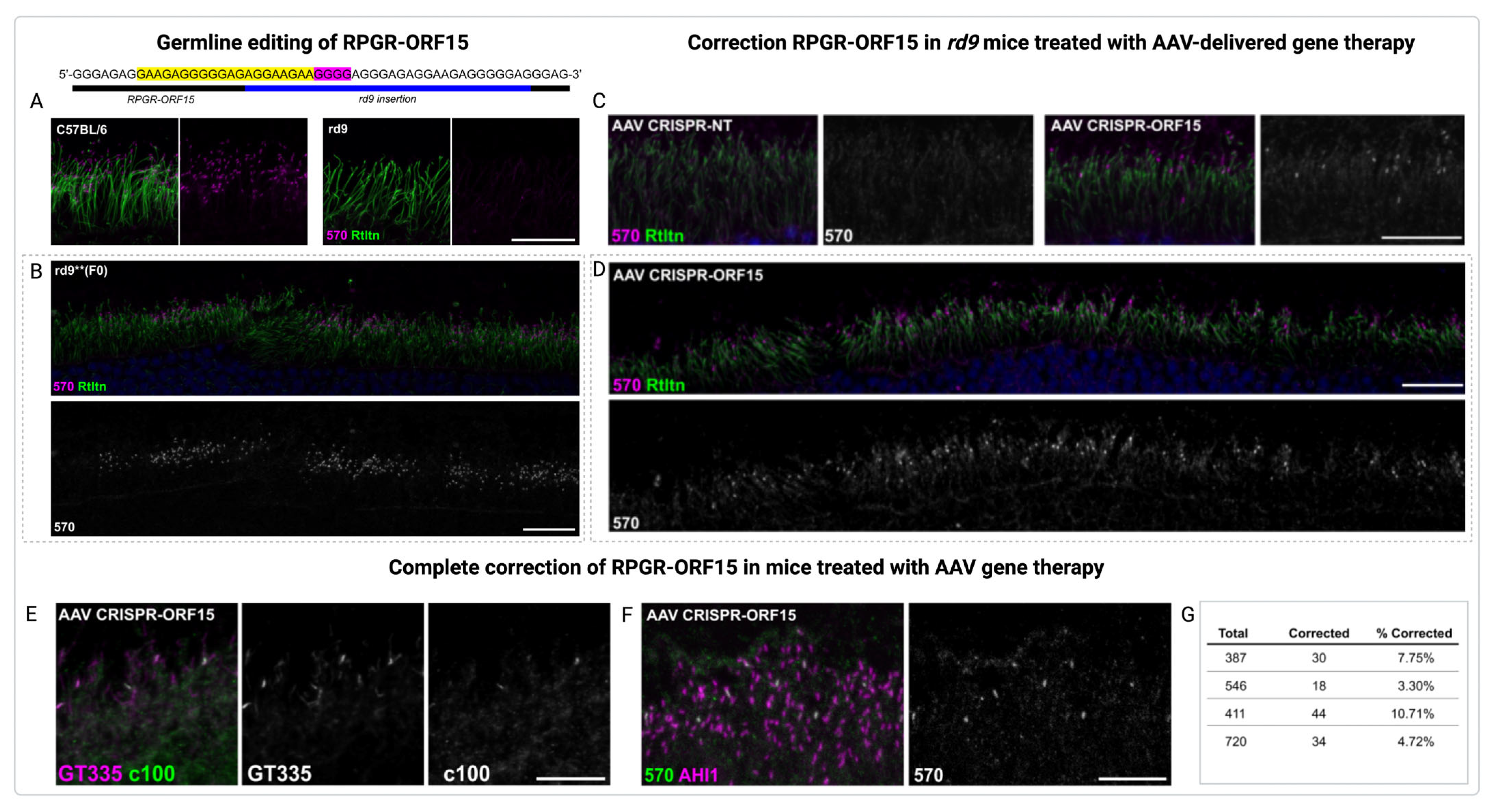 Jcm 14 00898 g005 Jcm 14 00898 g005