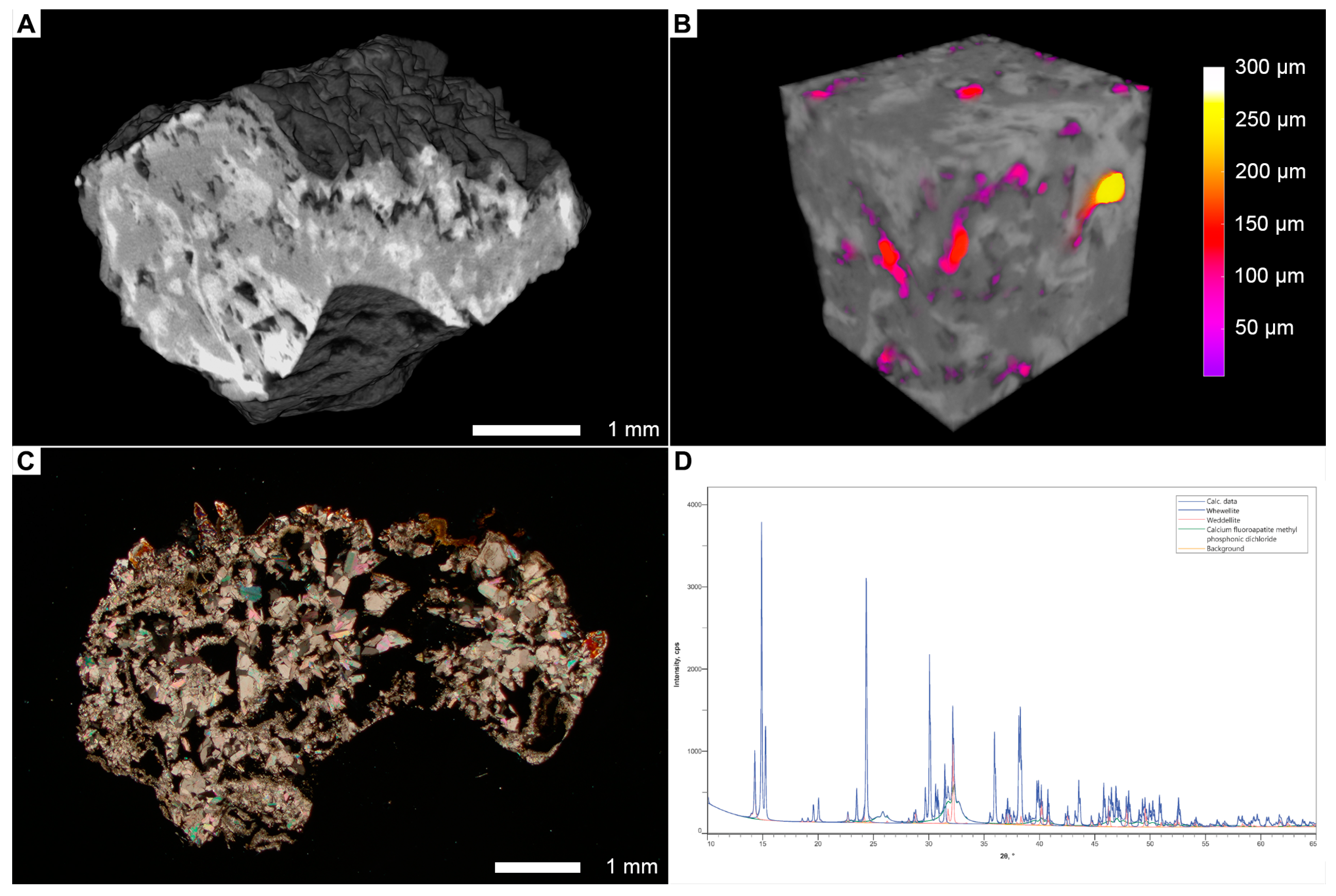 Jcm 14 00997 g001 Jcm 14 00997 g001