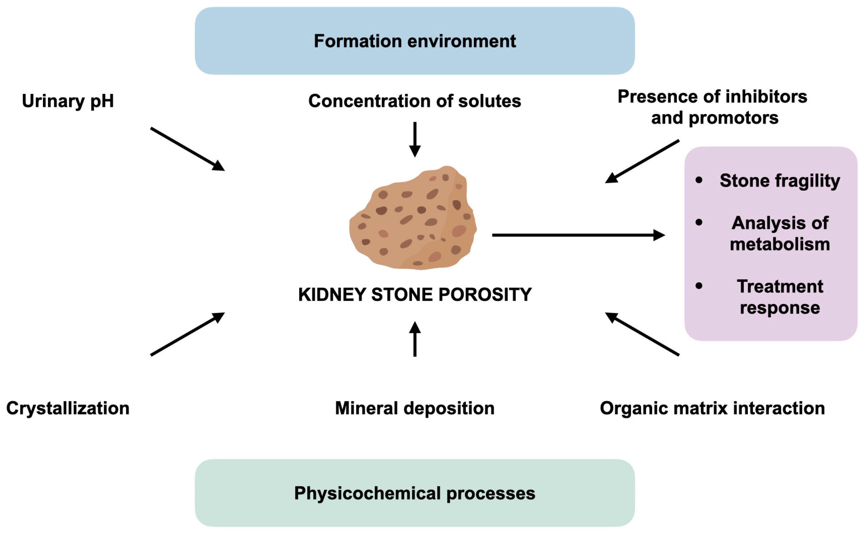 Jcm 14 00997 g003 Jcm 14 00997 g003