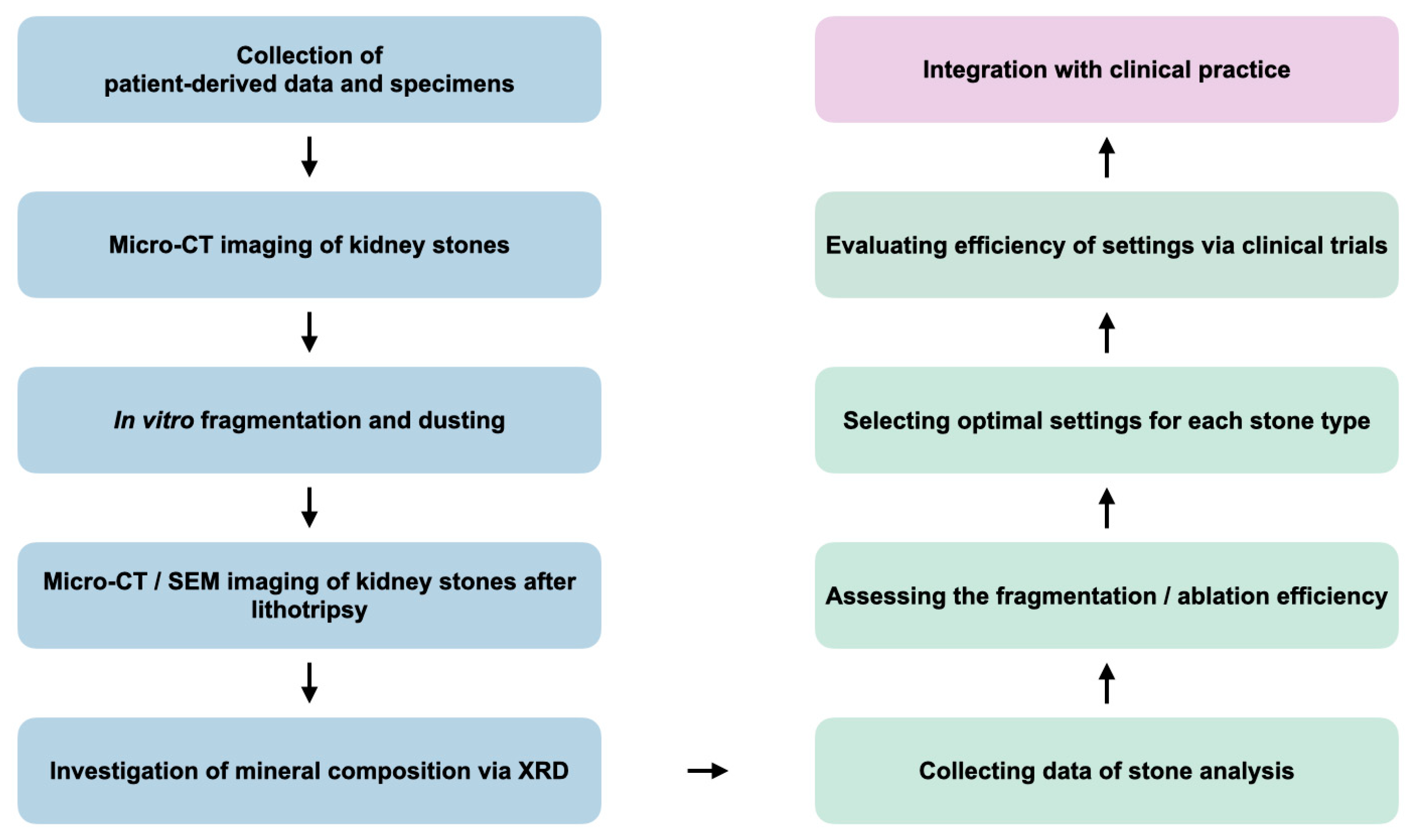 Jcm 14 00997 g005 Jcm 14 00997 g005
