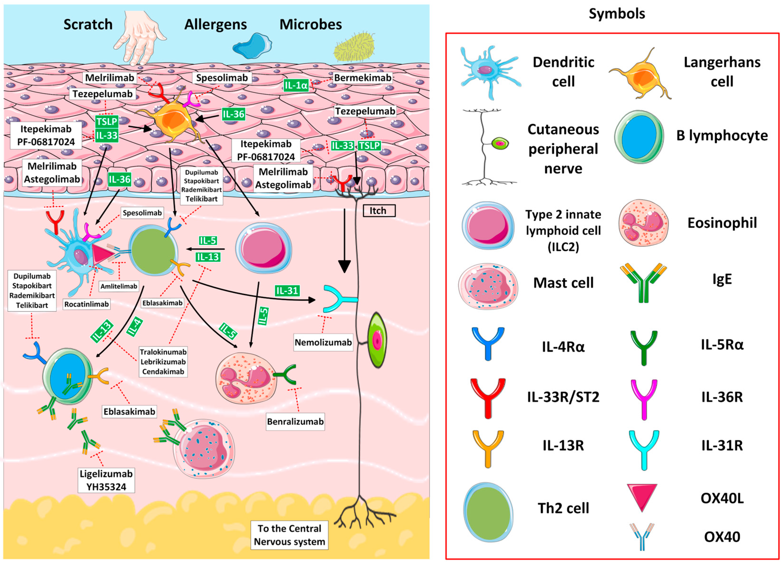 Jcm 14 01079 g002 Jcm 14 01079 g002