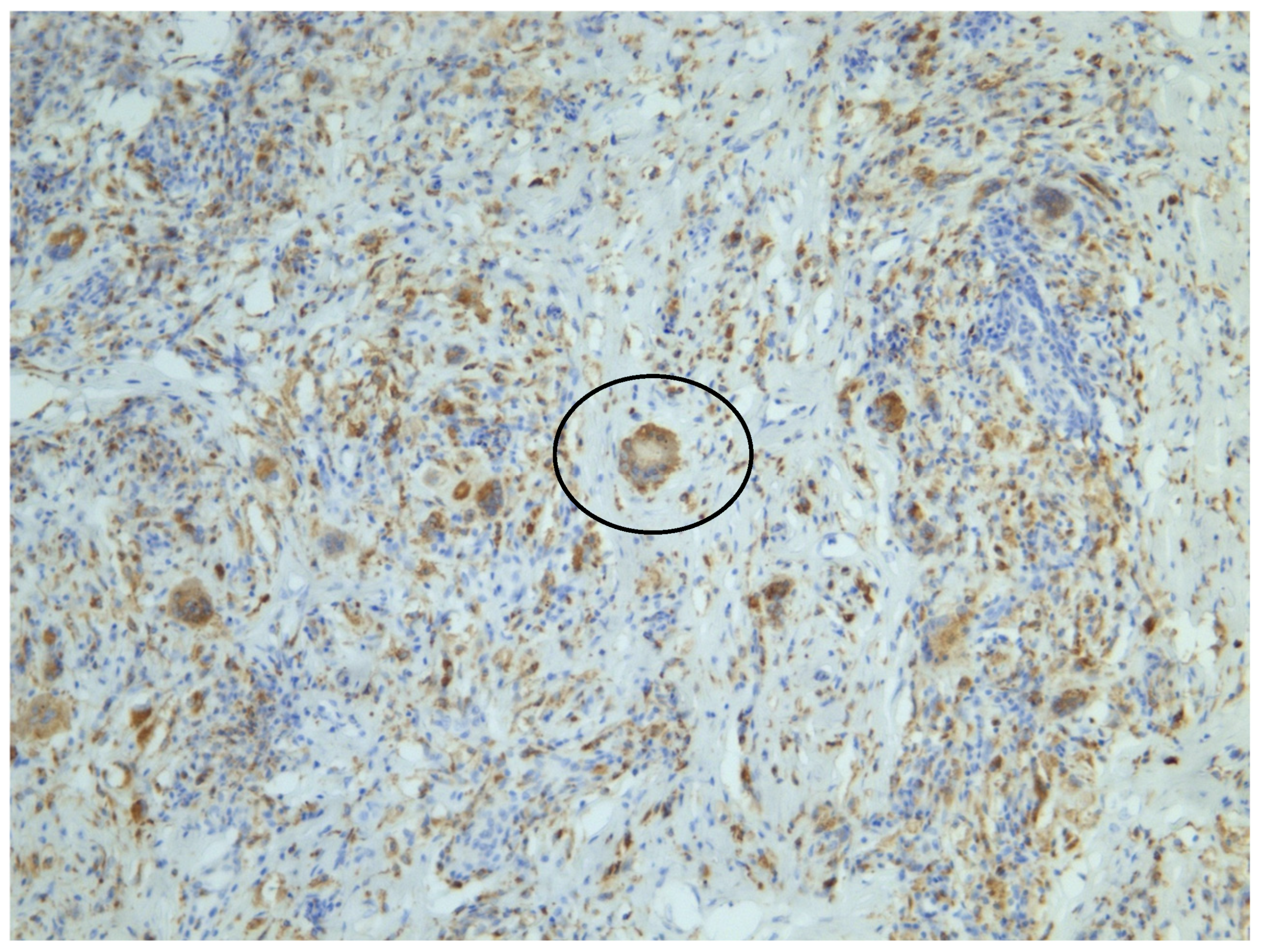 Jcm 14 01359 g005