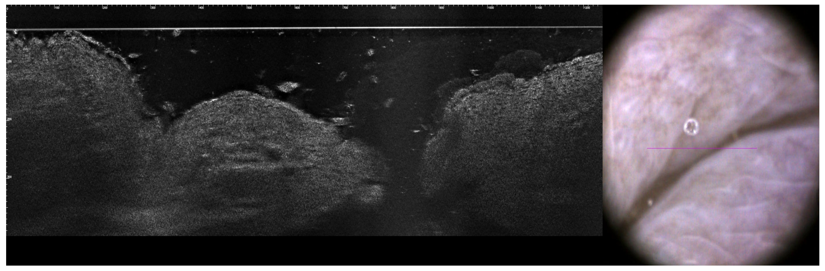 Jcm 14 01359 g006