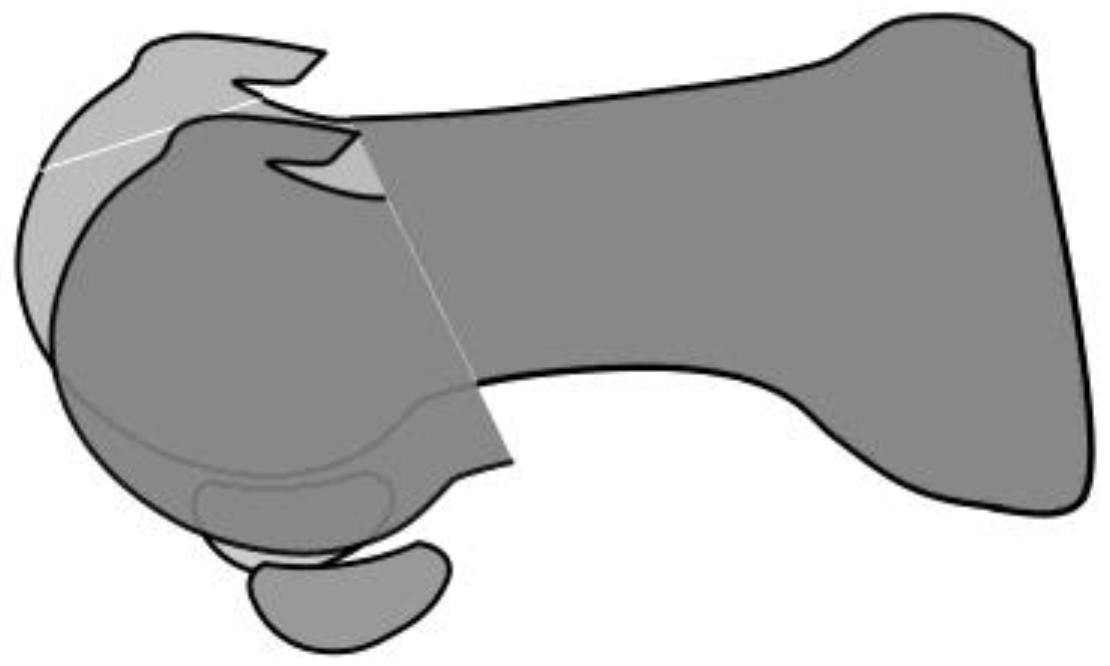 Jcm 14 01595 g005