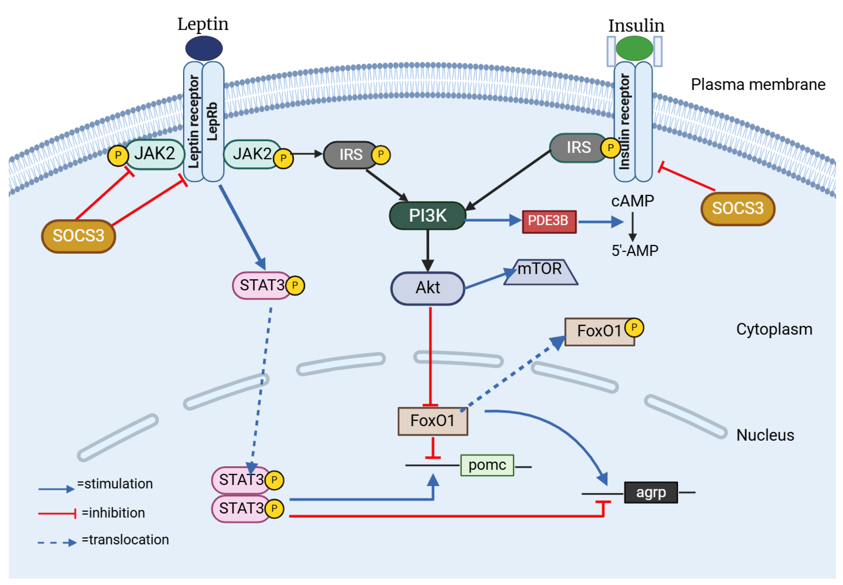 Jcm 14 02611 g003 Jcm 14 02611 g003