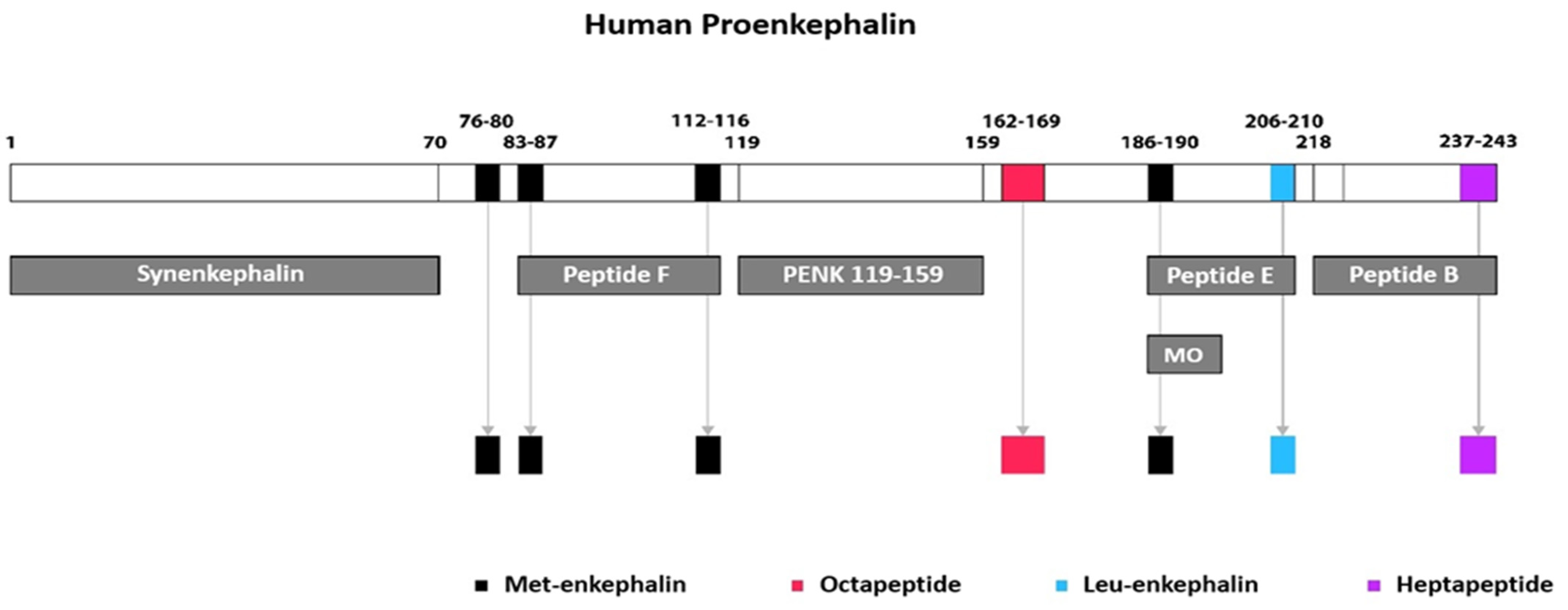 Jcm 14 02657 g001 Jcm 14 02657 g001